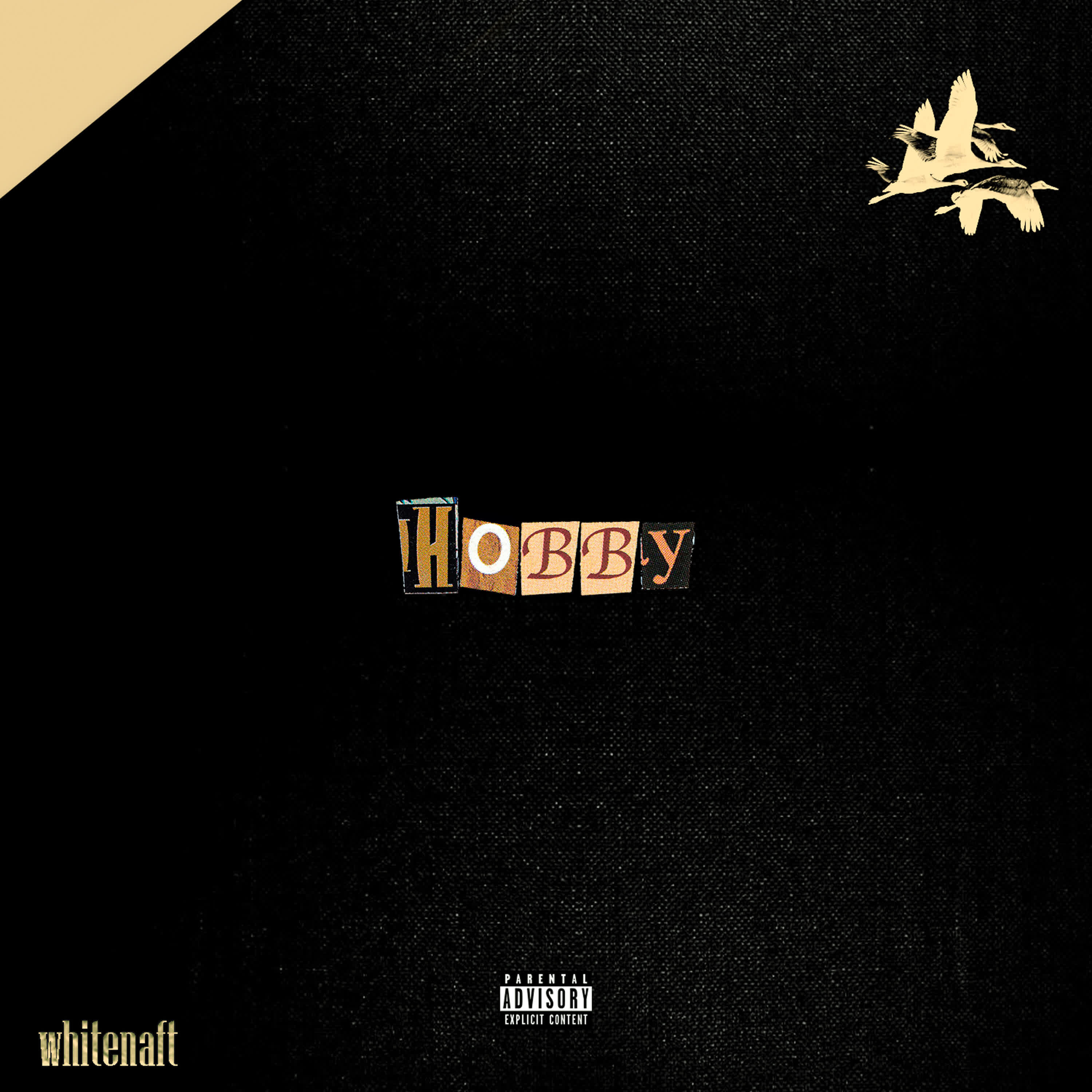 Релиз Hobby