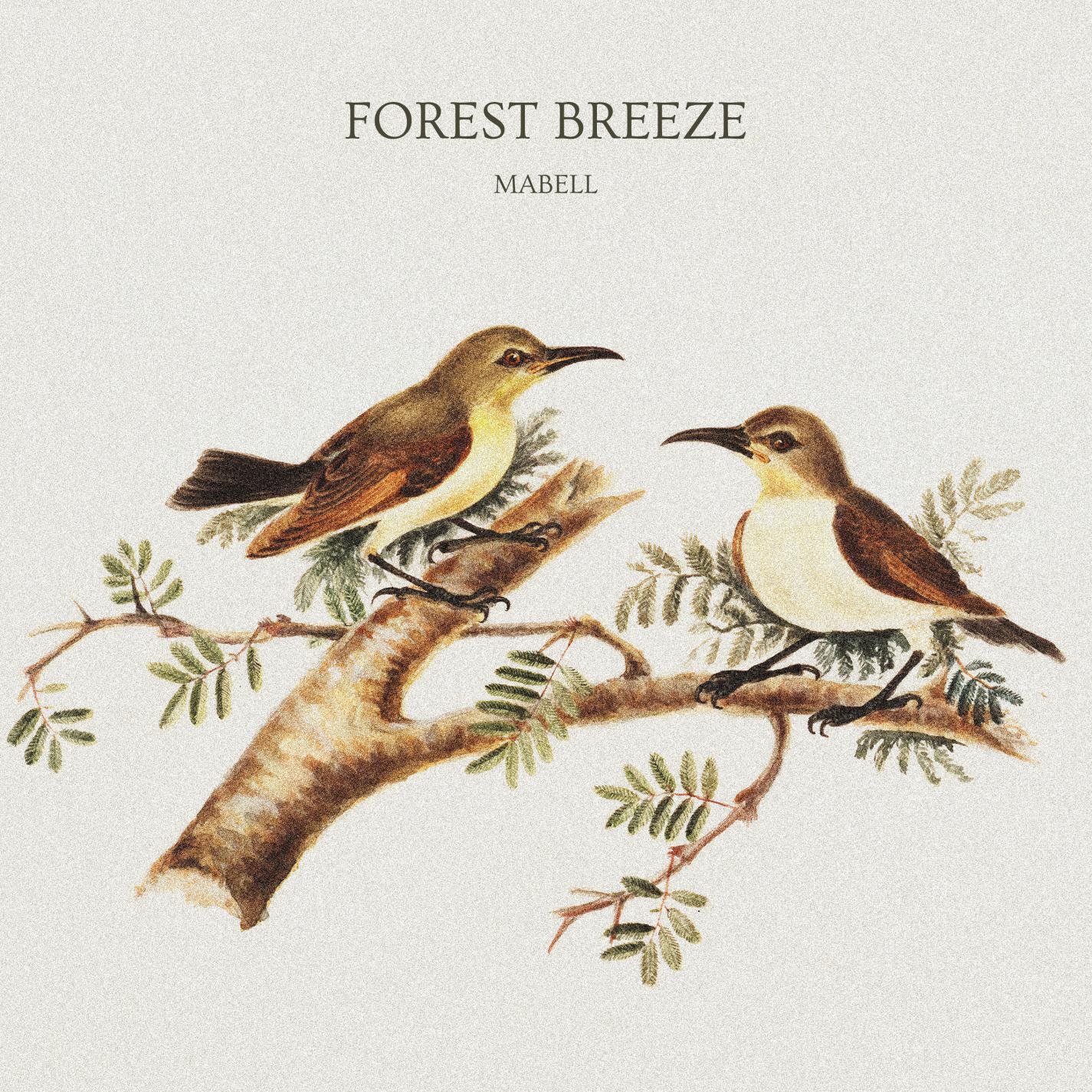 Релиз Forest Breeze