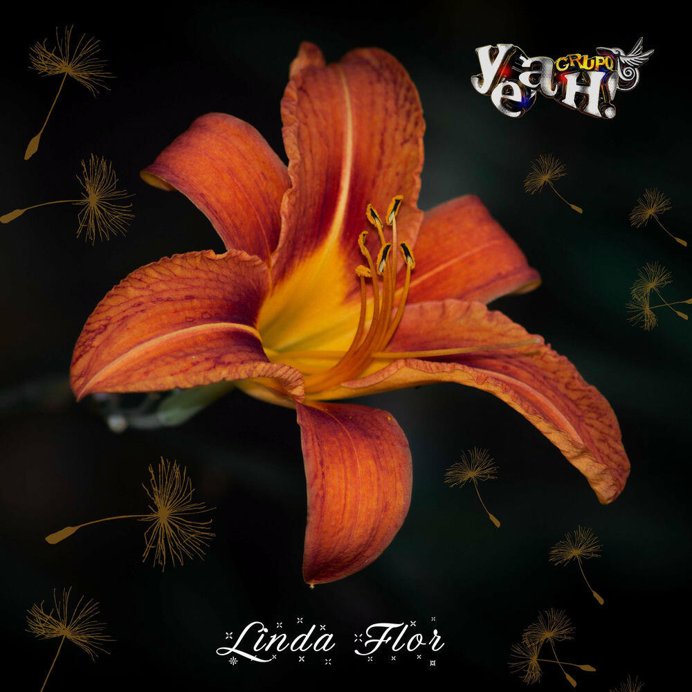 Релиз Linda Flor