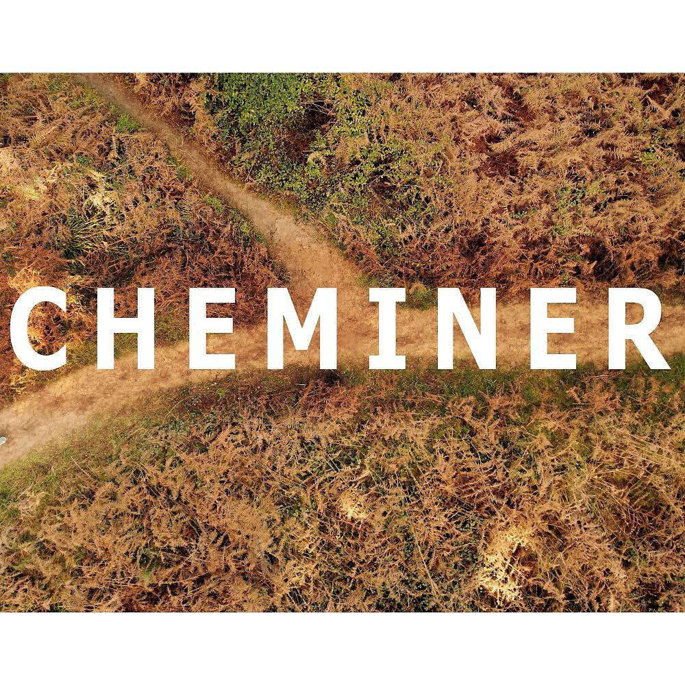 Релиз Cheminer