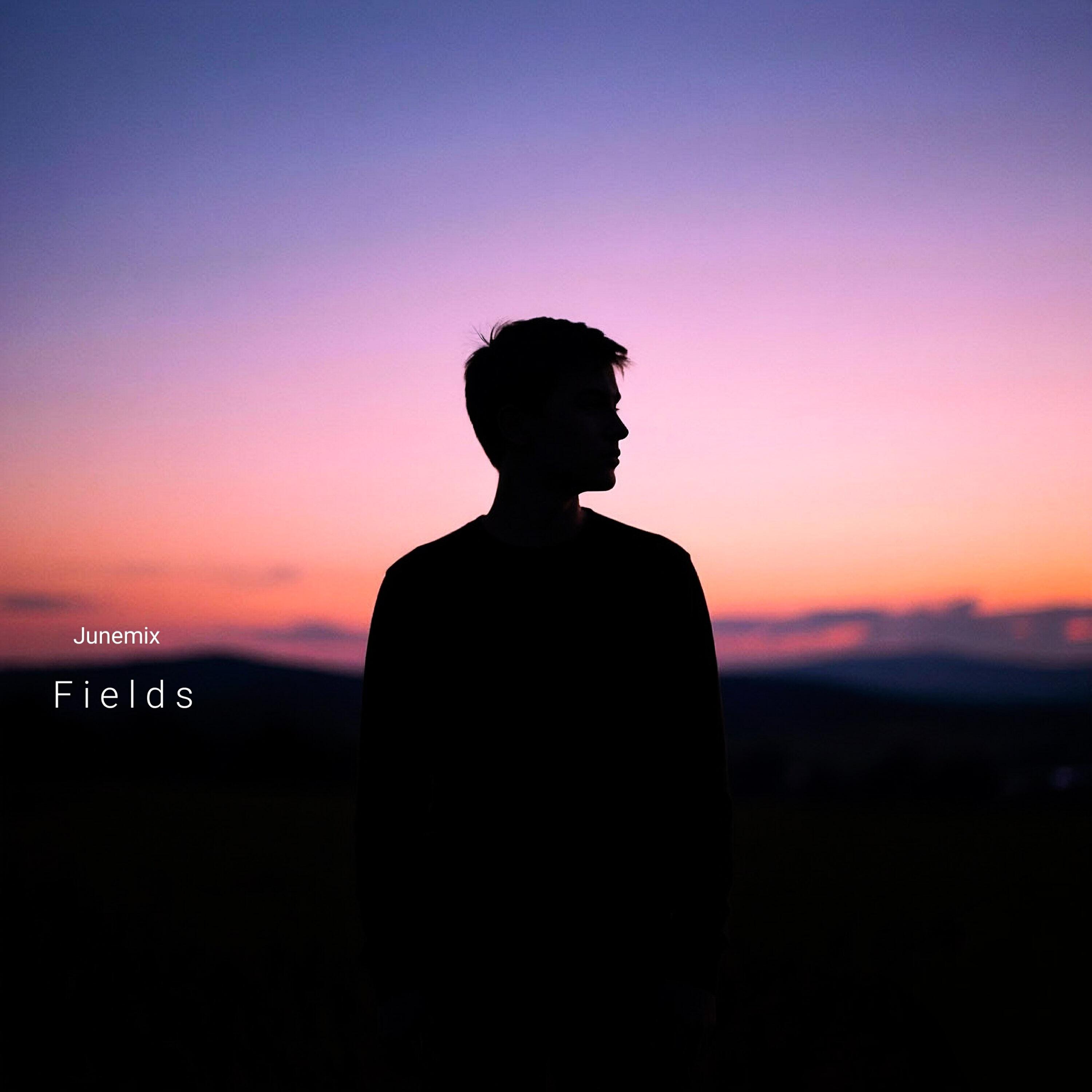 Релиз Fields