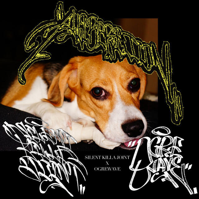 Релиз Alliberation