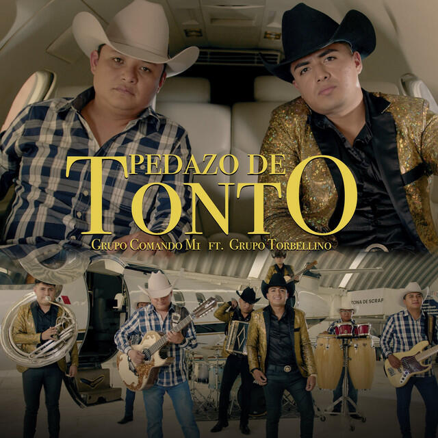 Релиз Pedazo de Tonto