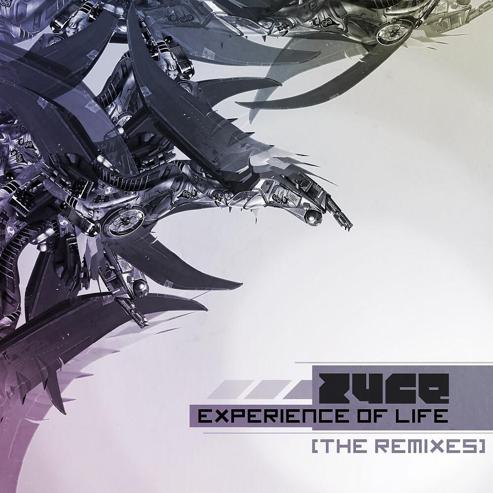 Релиз Experience of Life