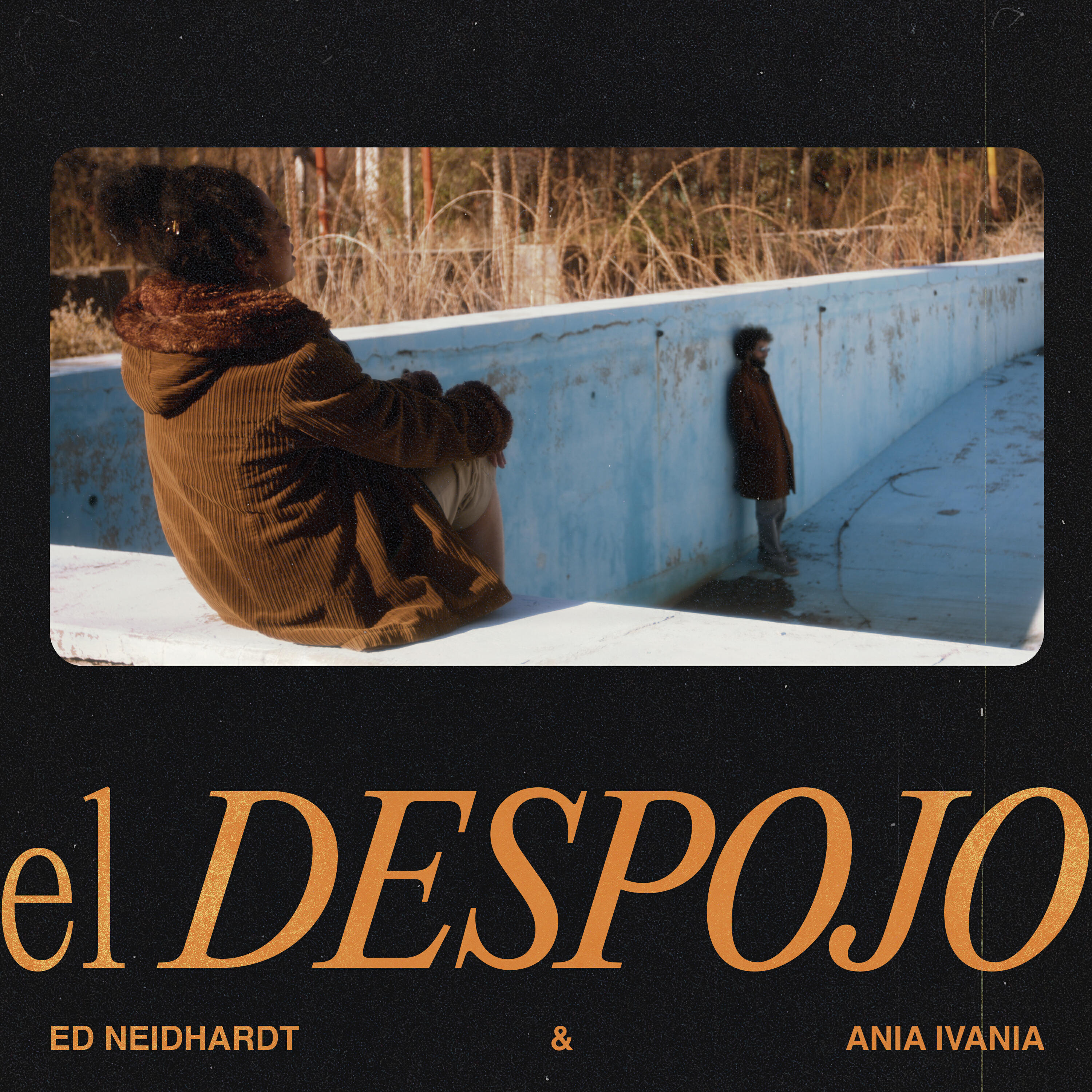 Релиз El Despojo