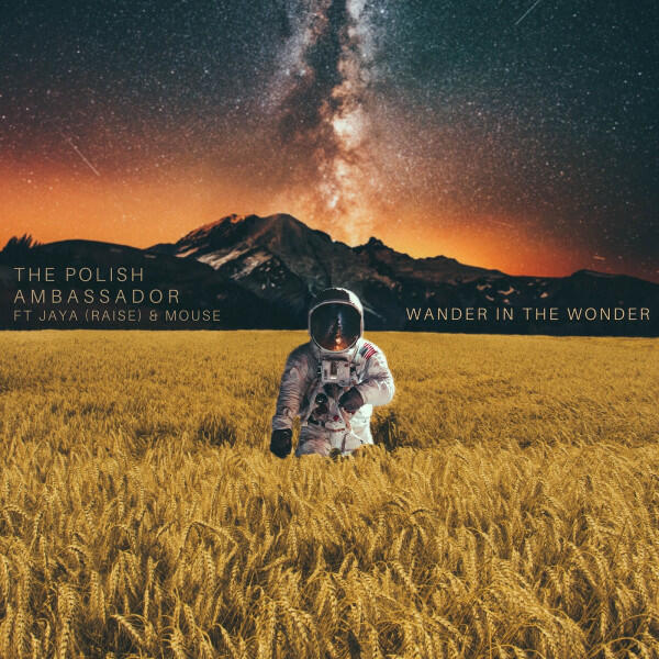 Релиз Wander in the Wonder