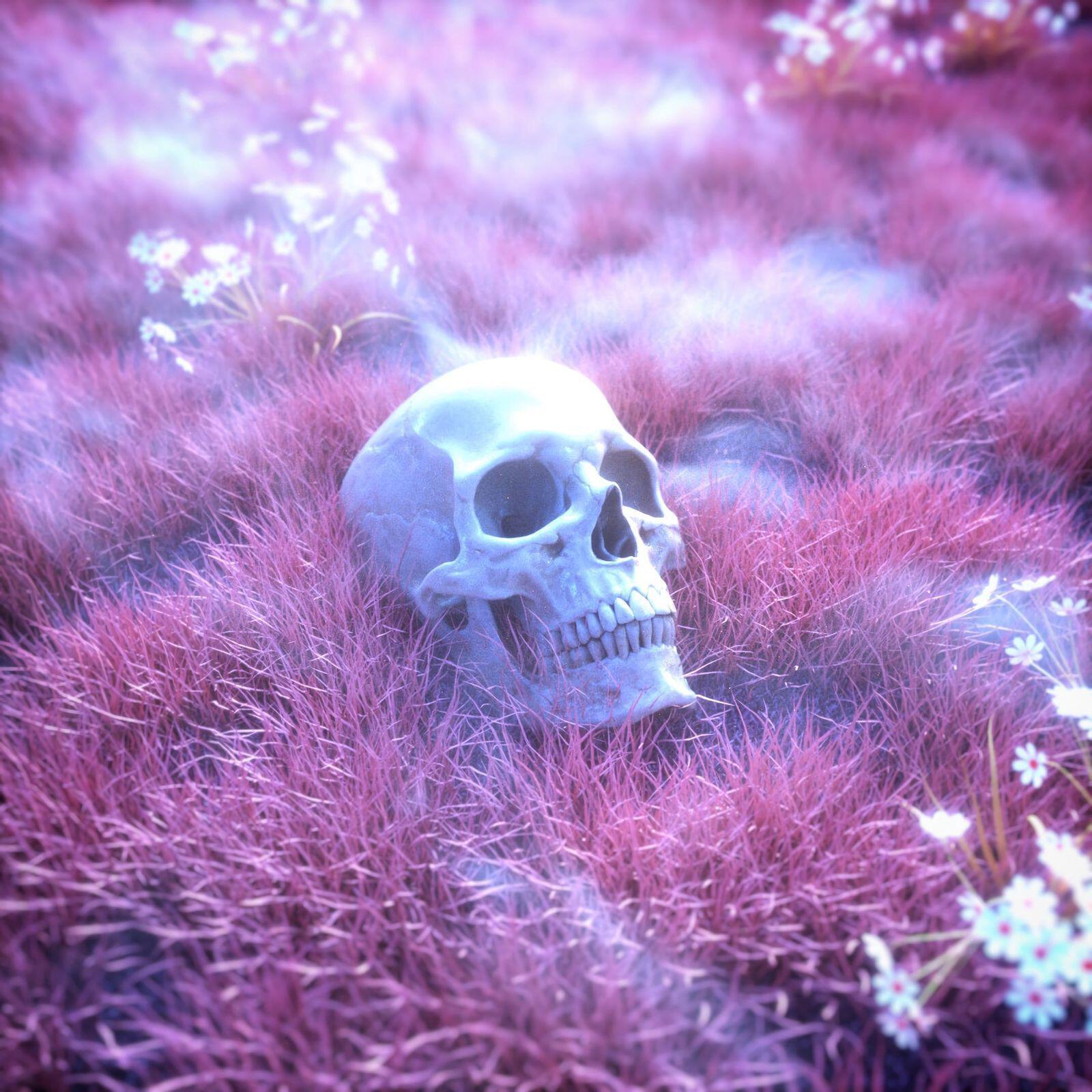 Dead Man