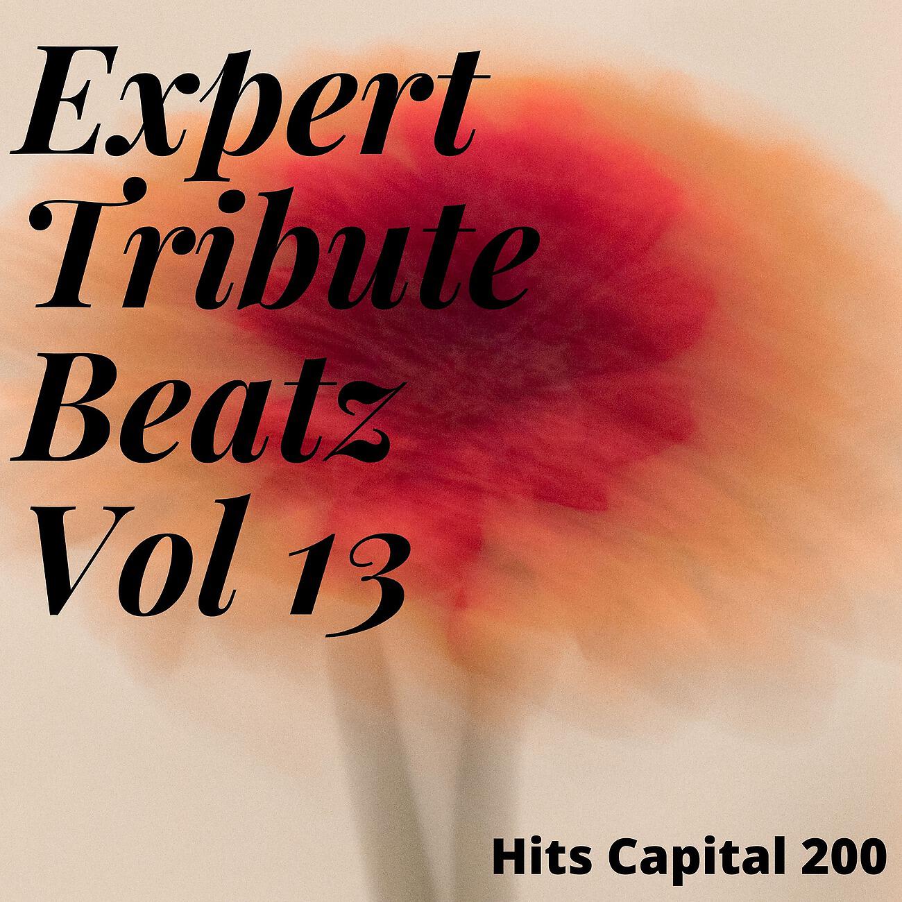 Релиз Expert Tribute Beatz Vol 13