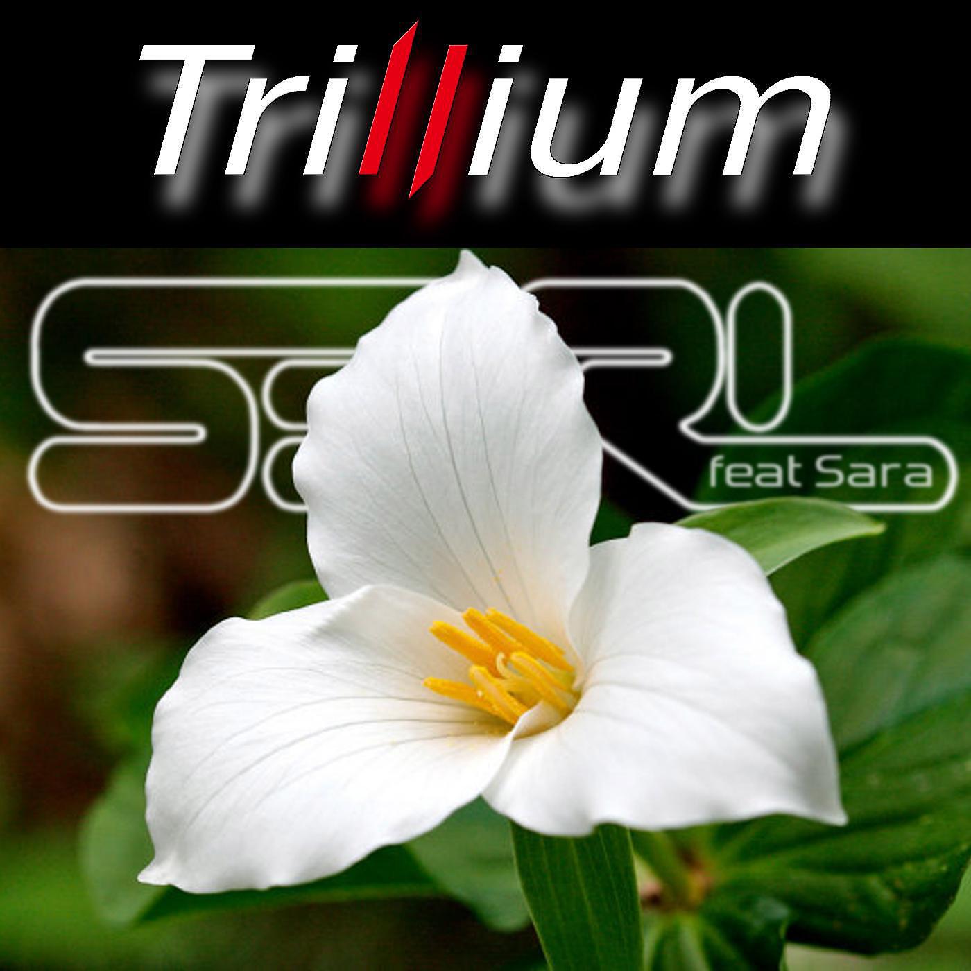 Релиз Trillium (feat. Sara)