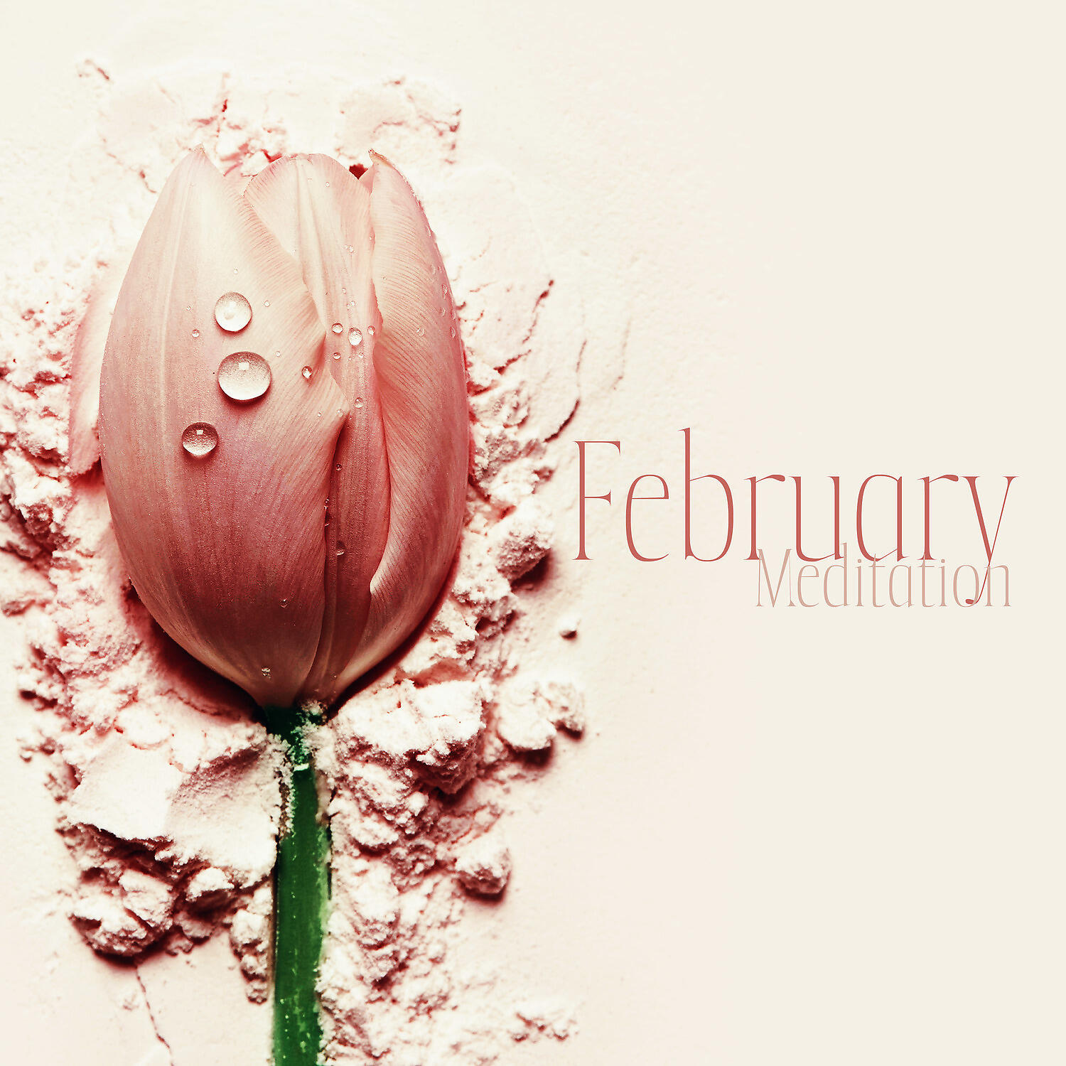 Релиз February Meditation: Gentle Alarm Ringtones 2022, Prenatal Piano Yoga for Healthy Heart, New Age Piano Music for Spa