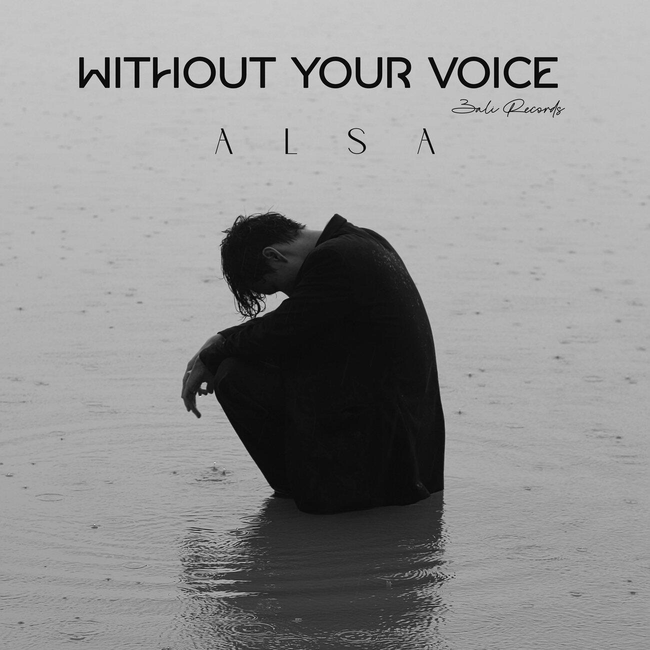Релиз Without Your Voice