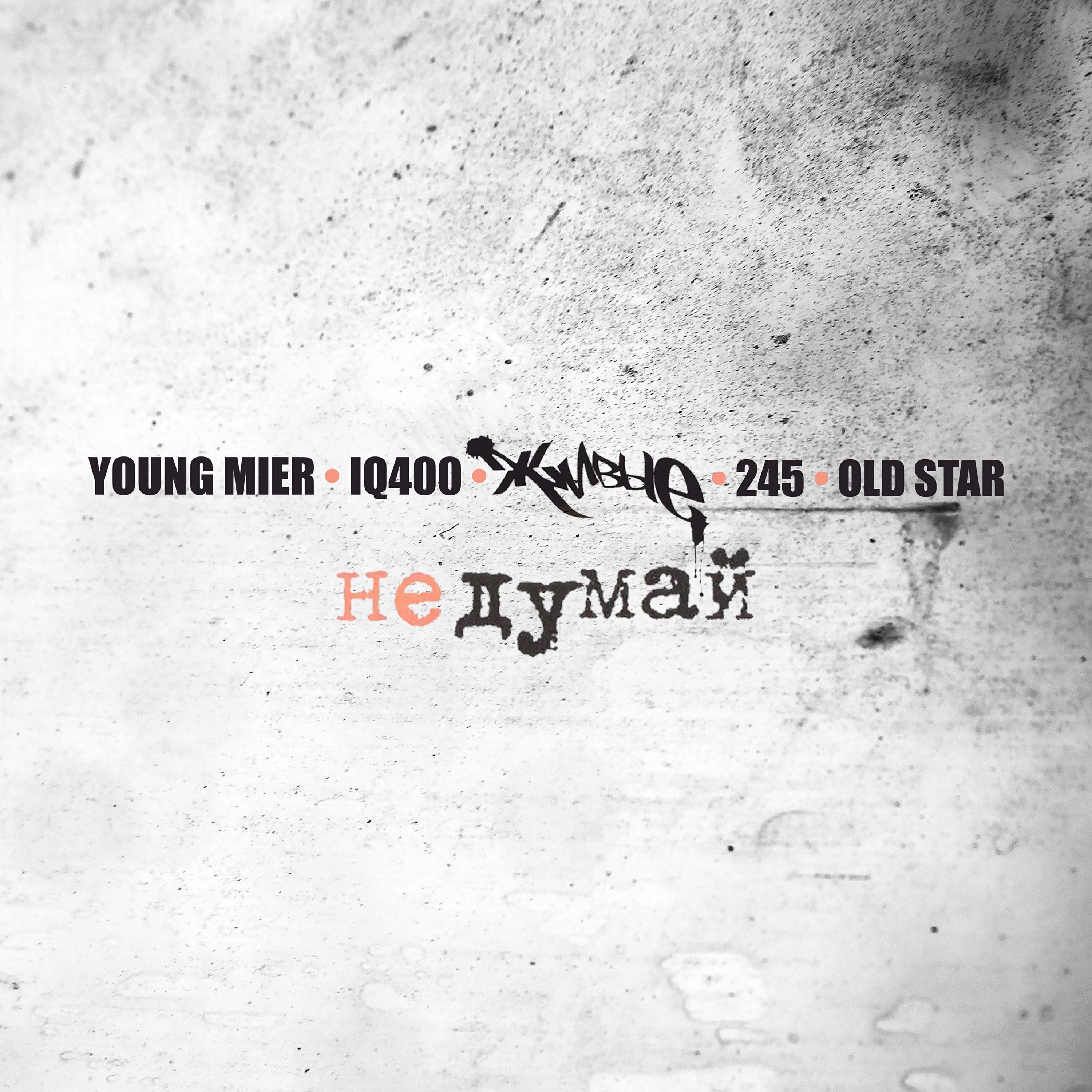 Young Mier