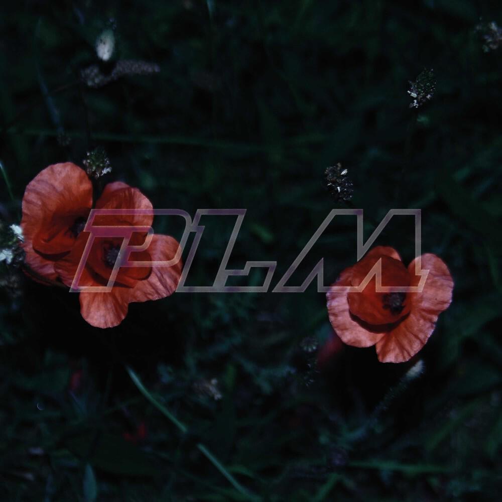 Релиз PLM