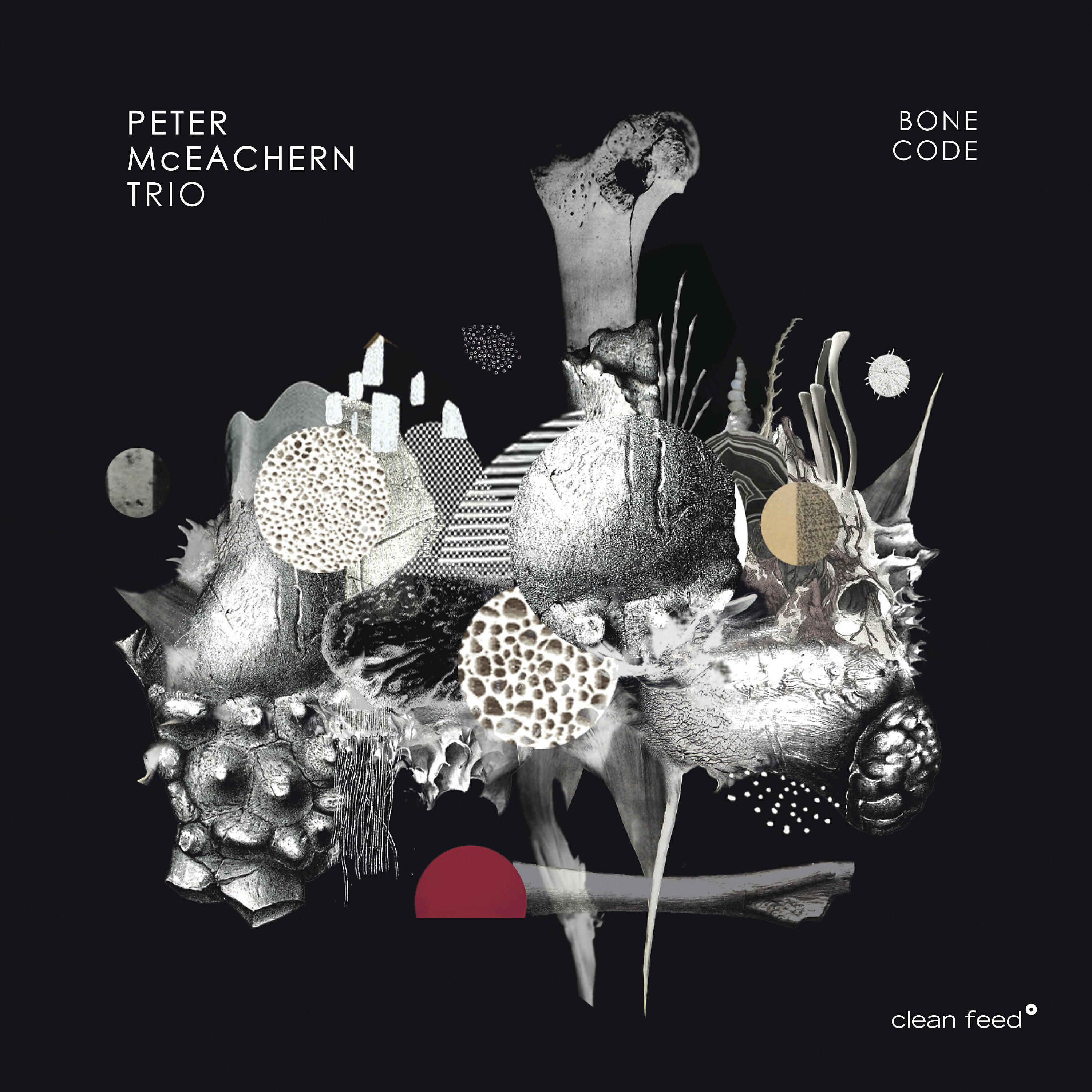 Релиз Bone-Code