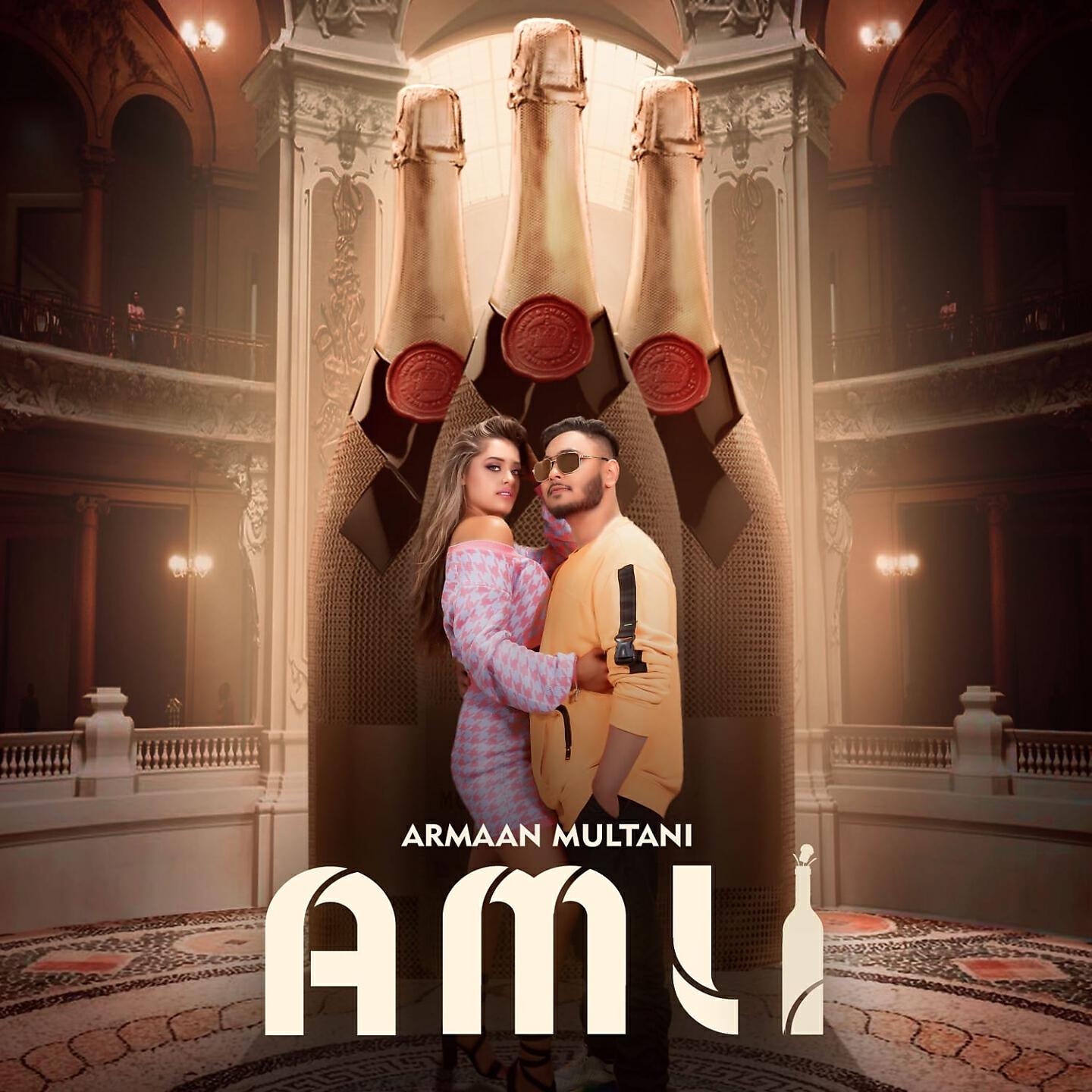 Релиз Amli