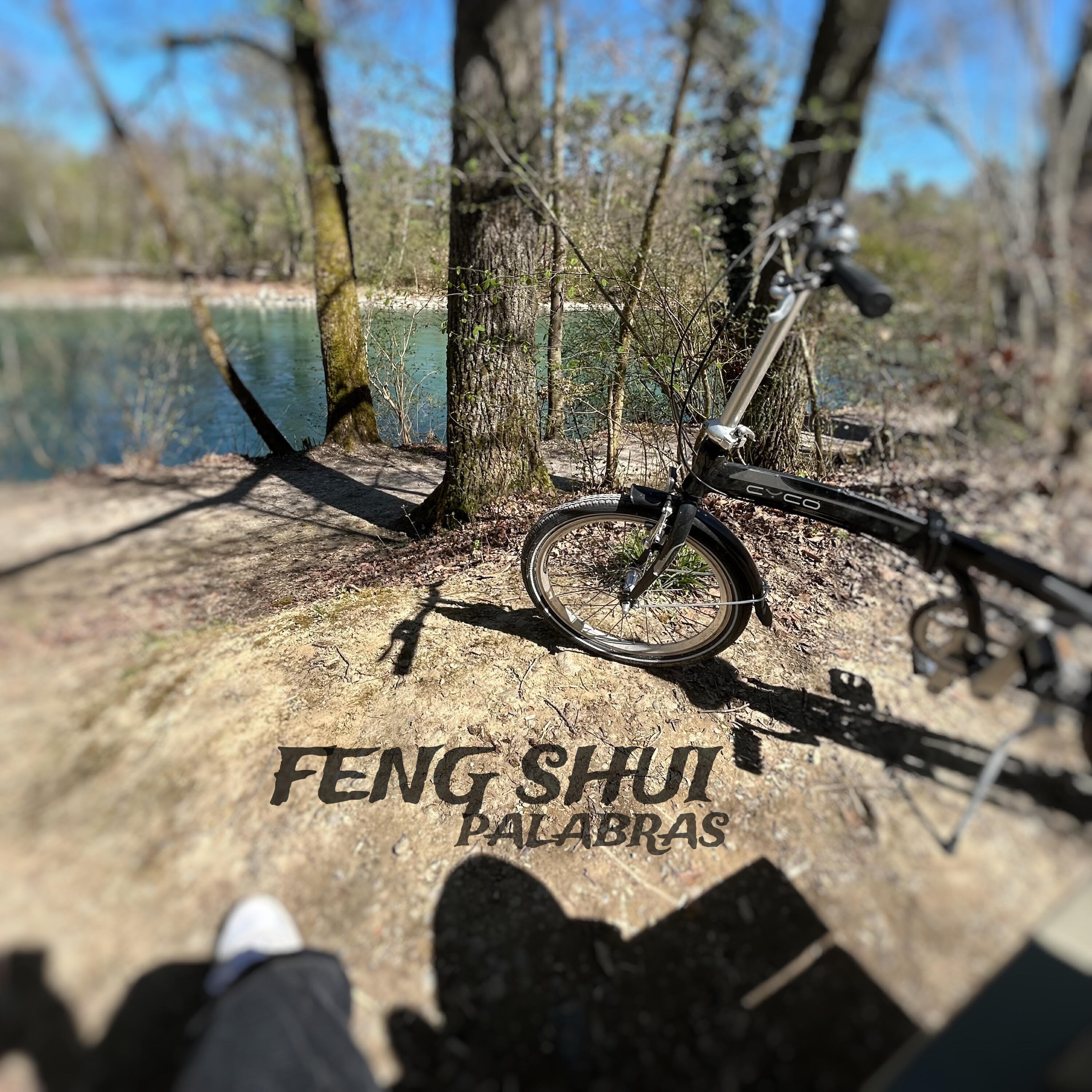 Релиз Feng Shui