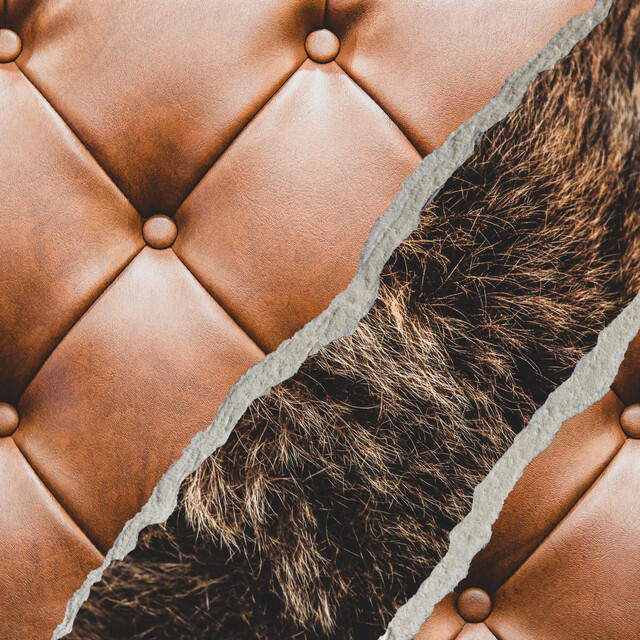 Релиз Too Comfy