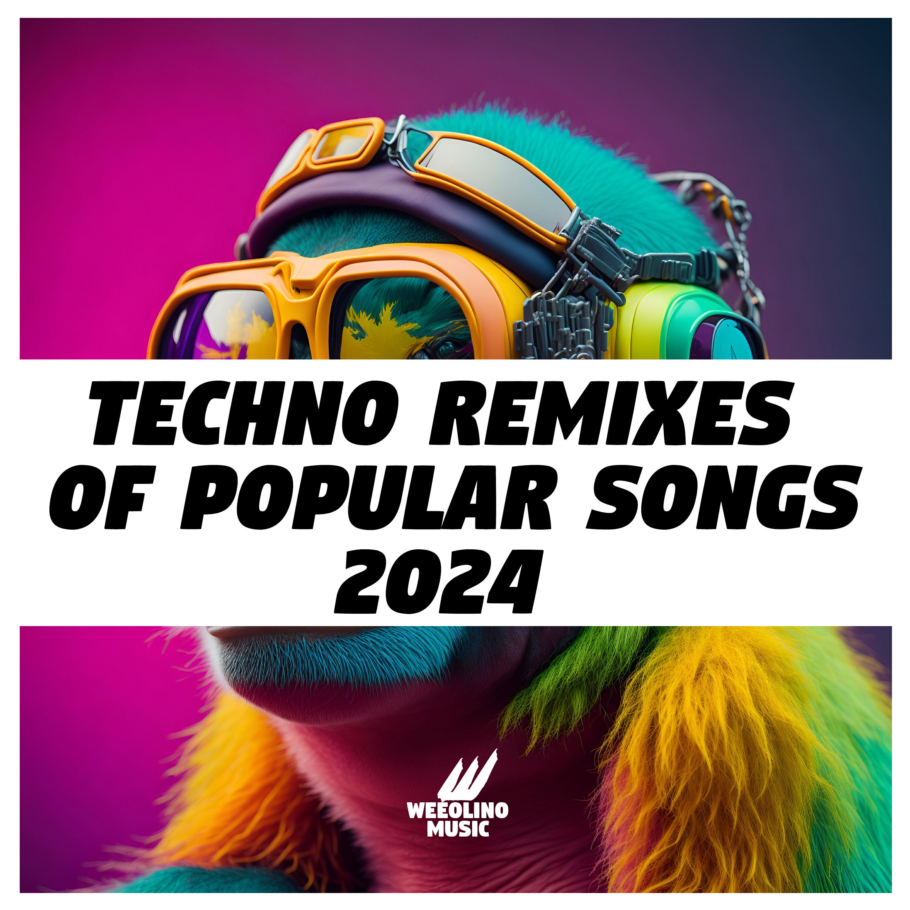 Постер альбома Techno Remixes of Popular Songs 2024