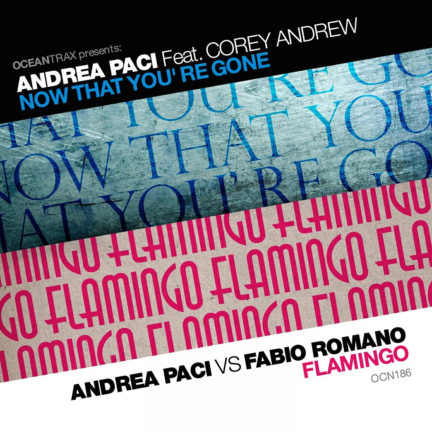 Релиз Now That Yoùre Gone / Flamingo