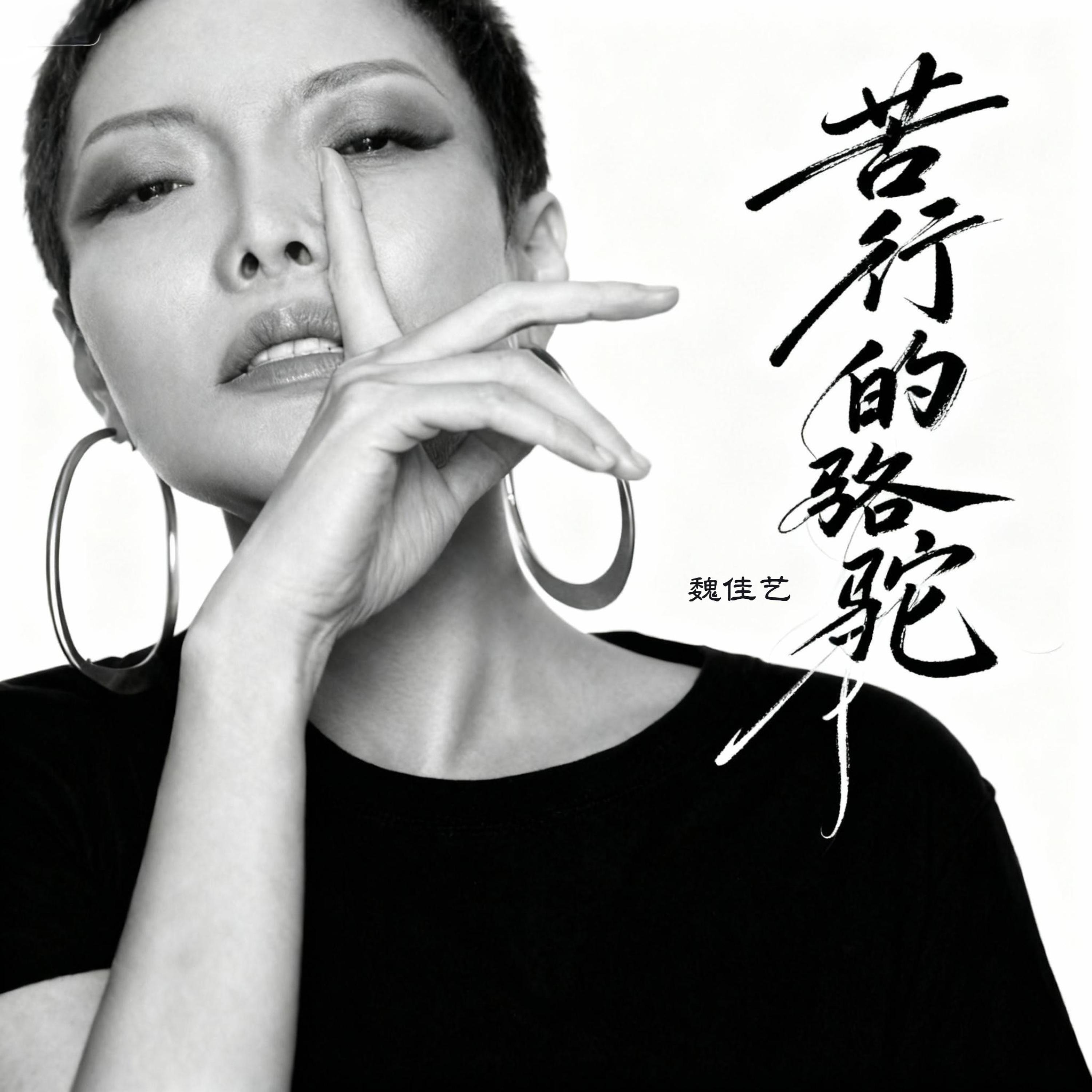 Релиз 苦行的骆驼