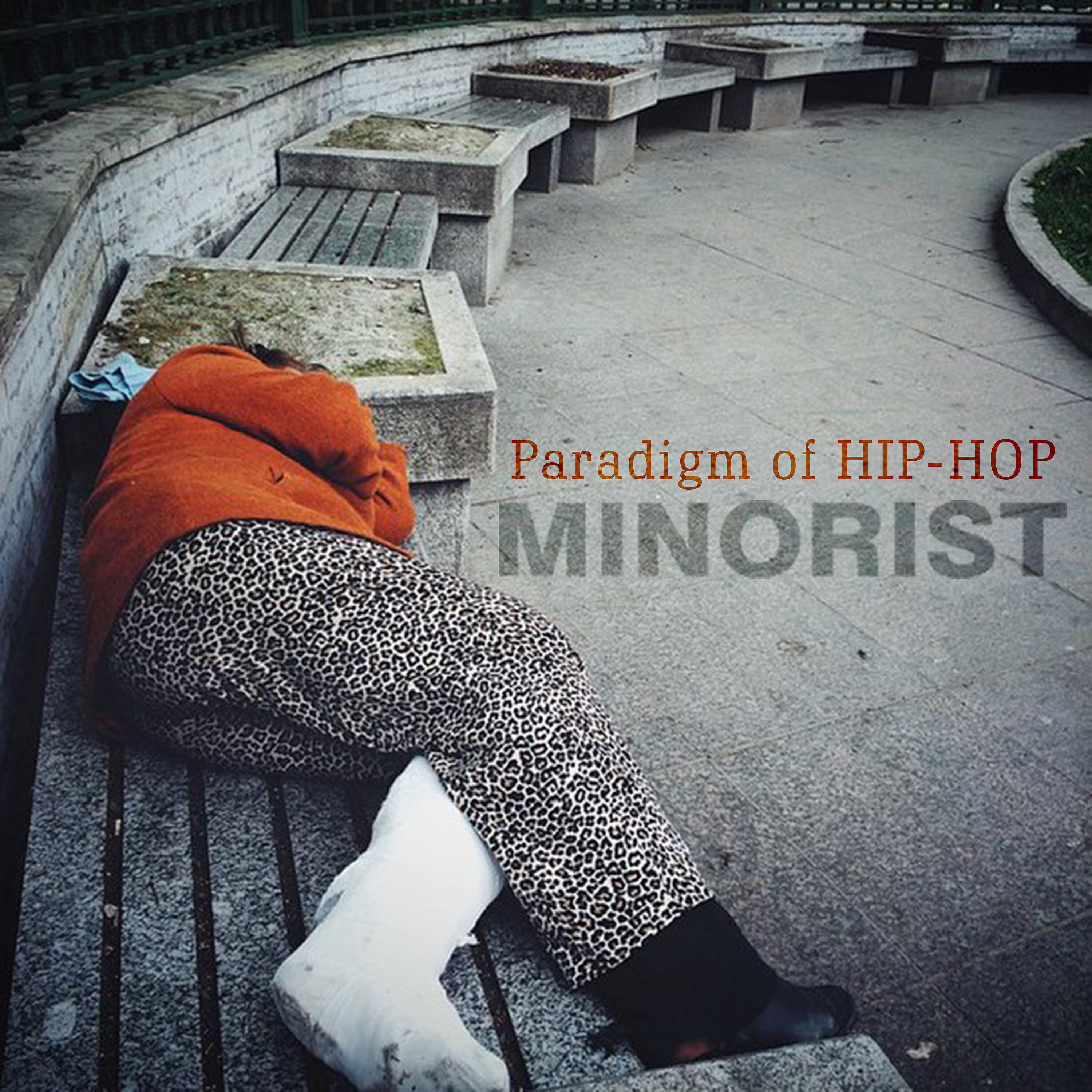 Постер альбома Paradigm of Hip-Hop
