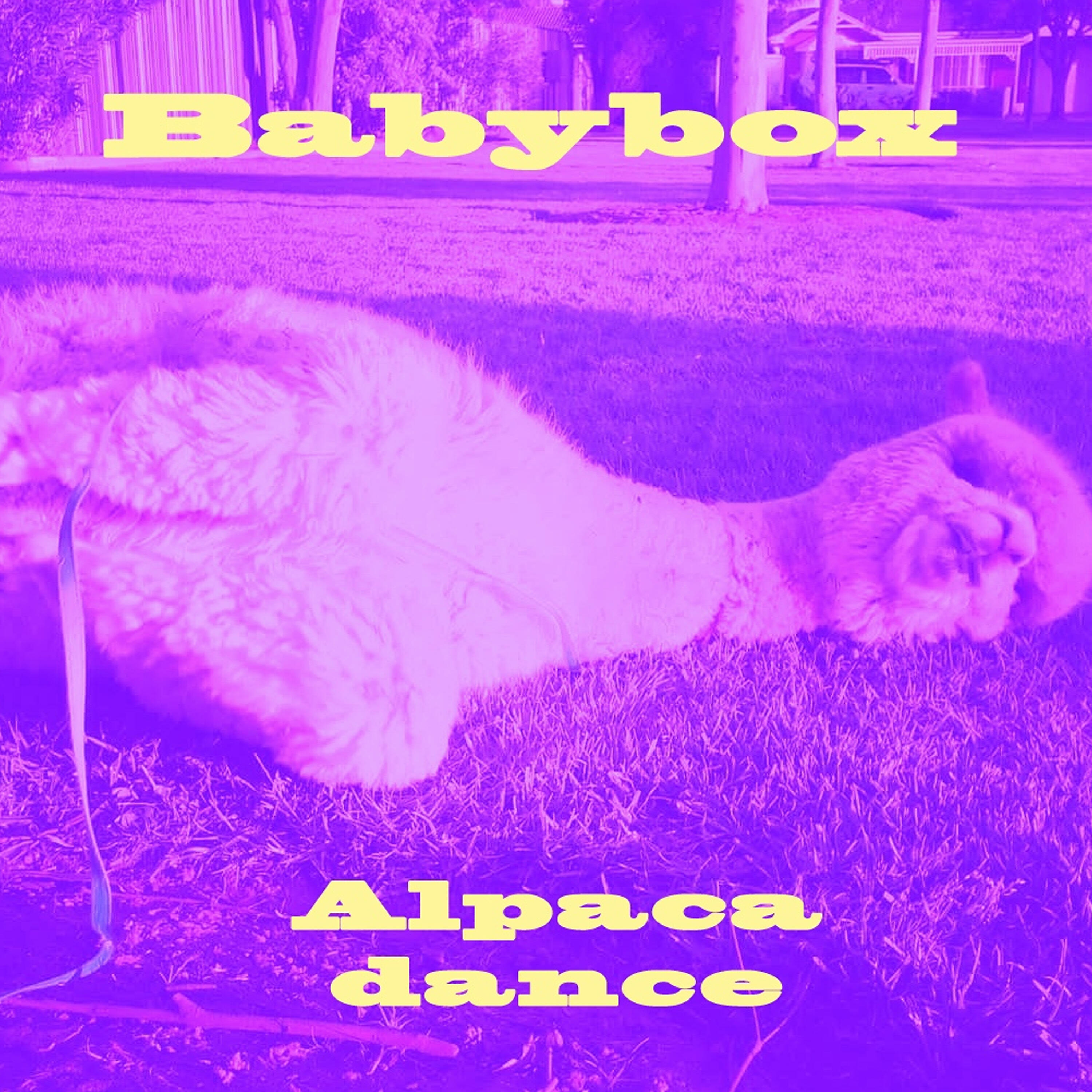 Релиз Alpaca Dance