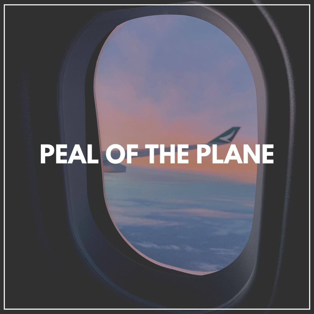 Релиз Peal of the Plane