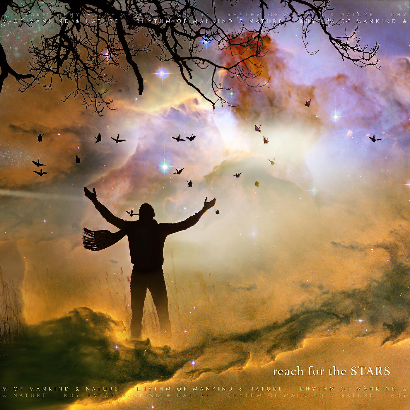 Релиз Reach for the Stars