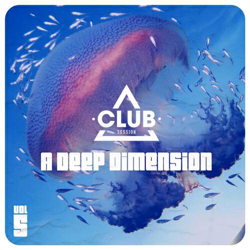 Релиз A Deep Dimension Vol. 5