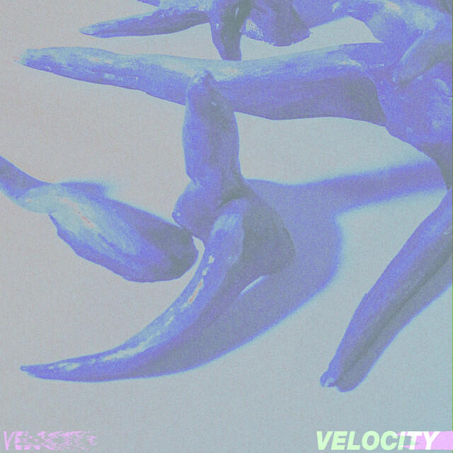 Релиз Velocity
