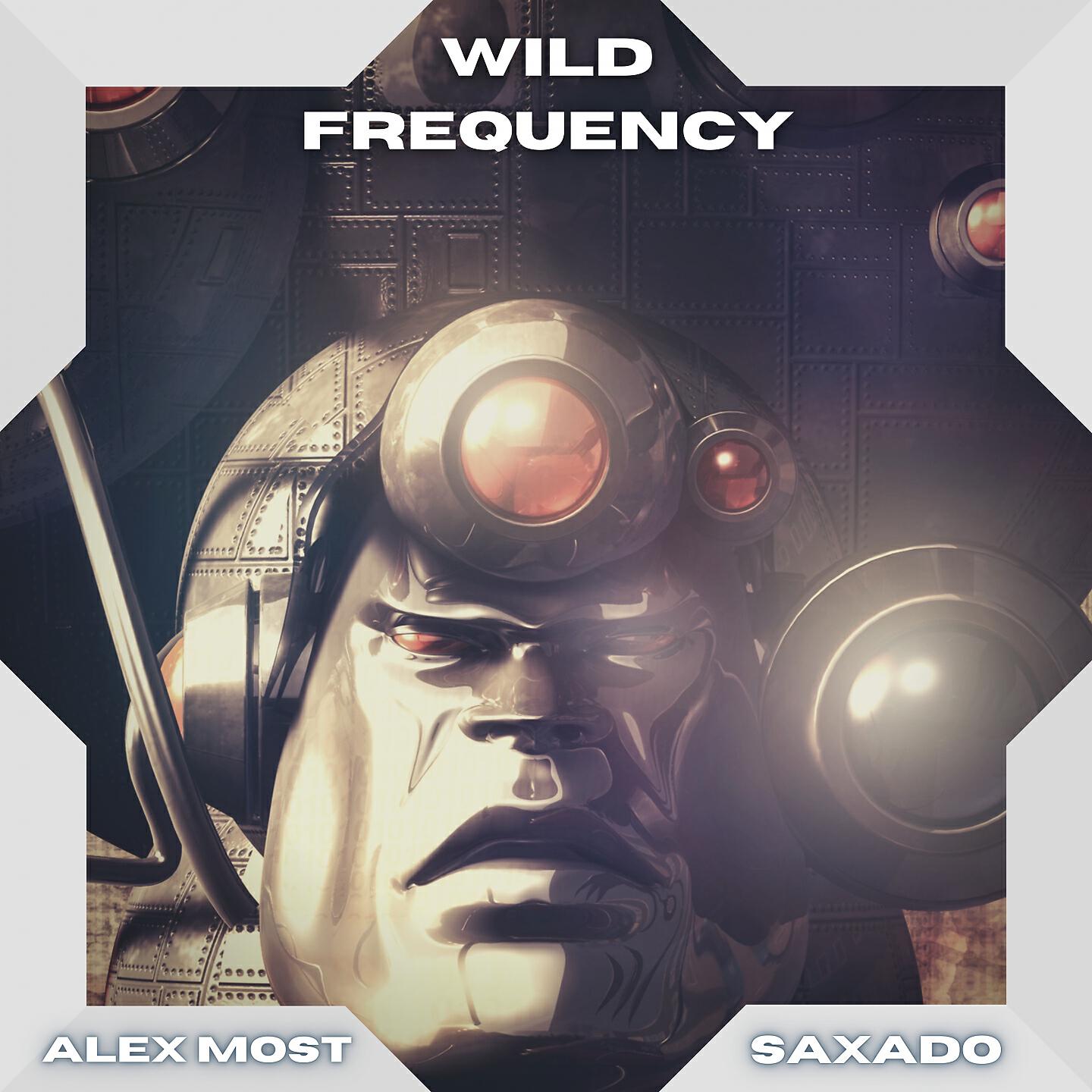 Релиз Wild Frequency