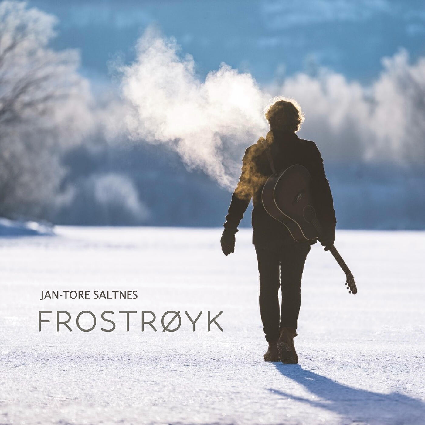 Релиз Frostrøyk