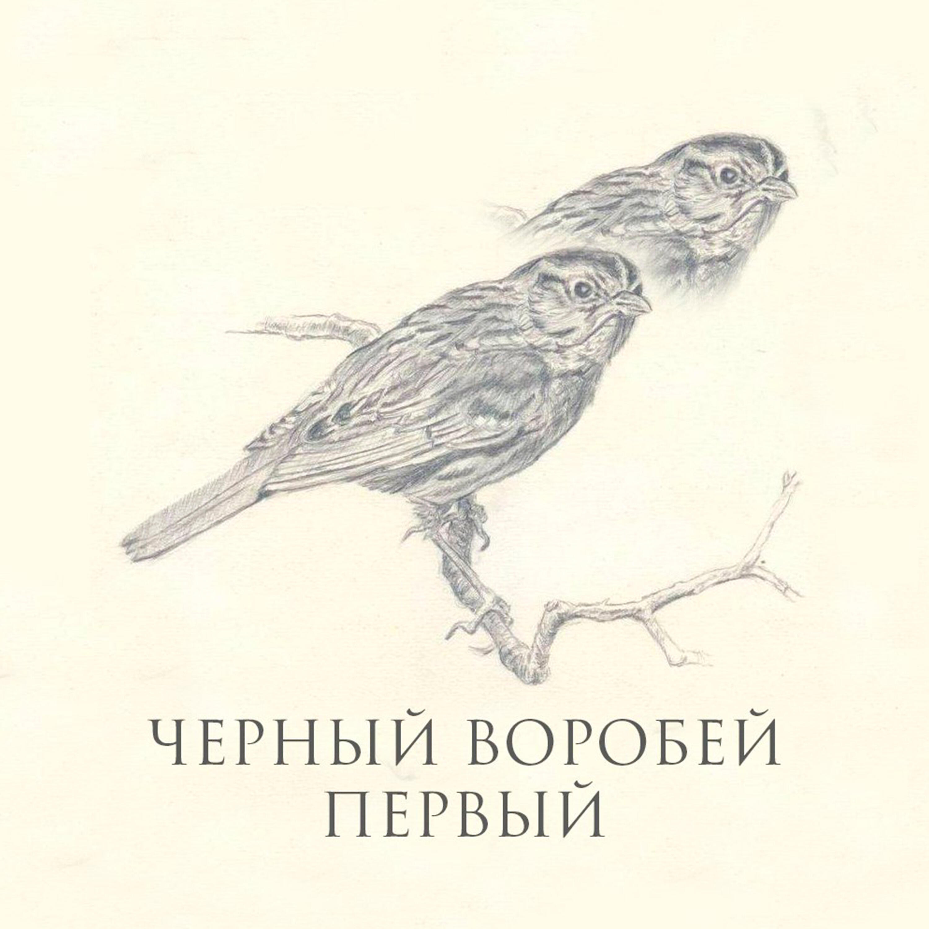 Релиз Первый