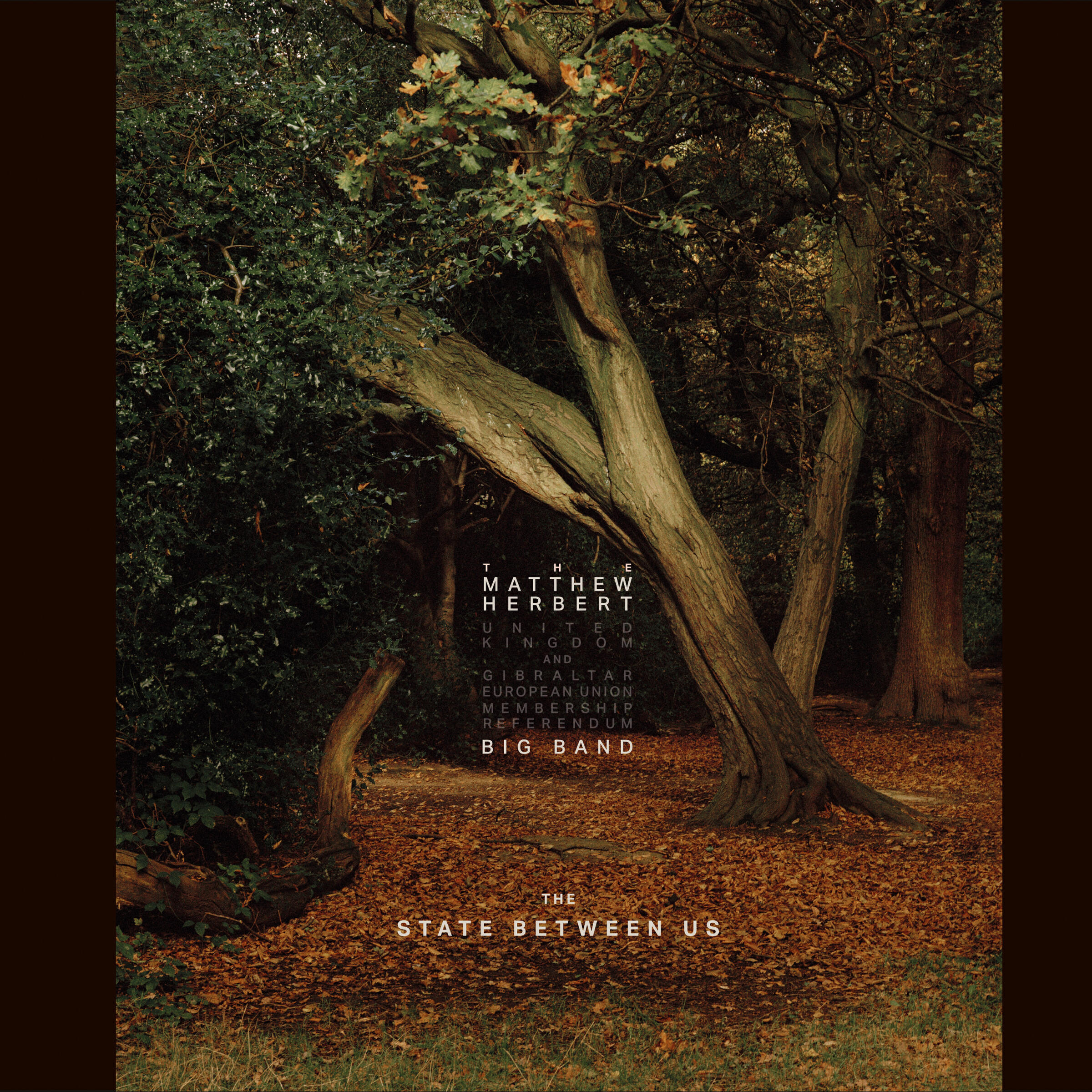 Релиз The State Between Us