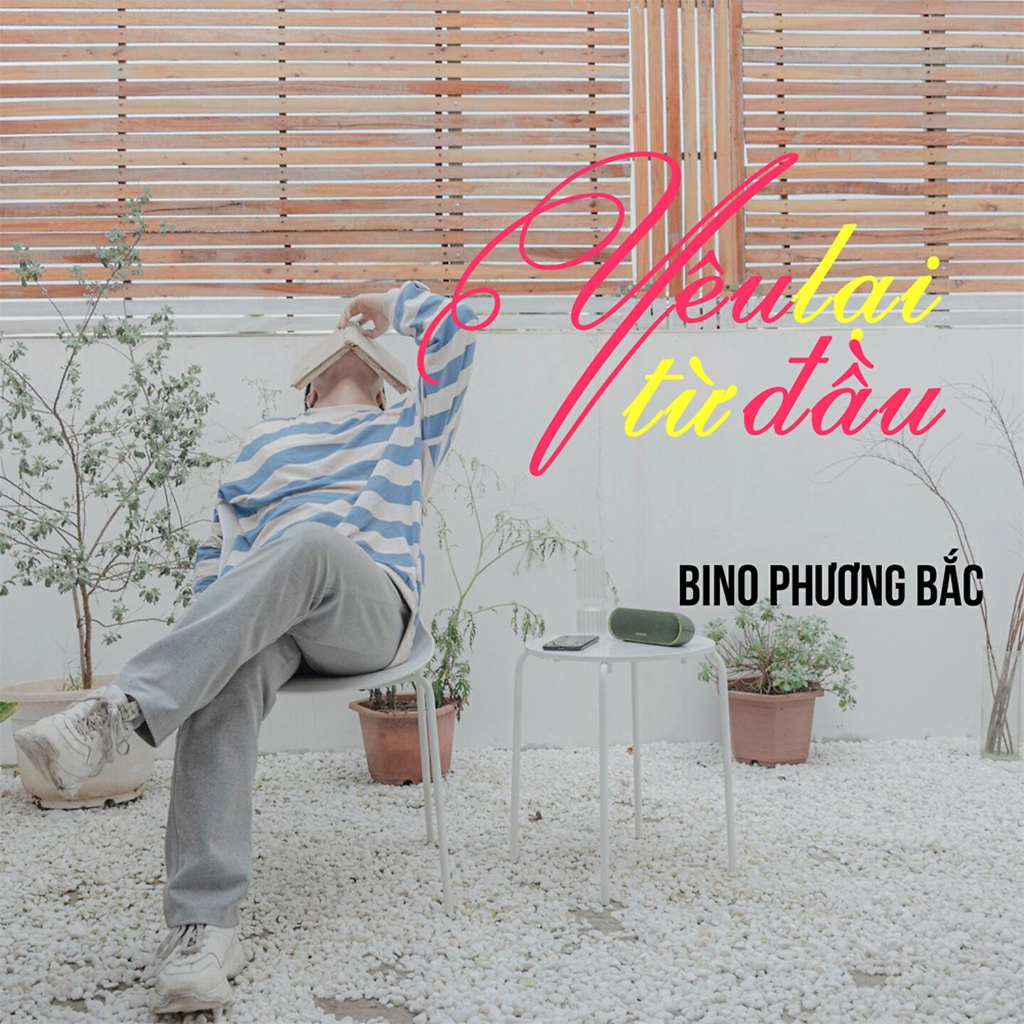 Bino Phương Bắc