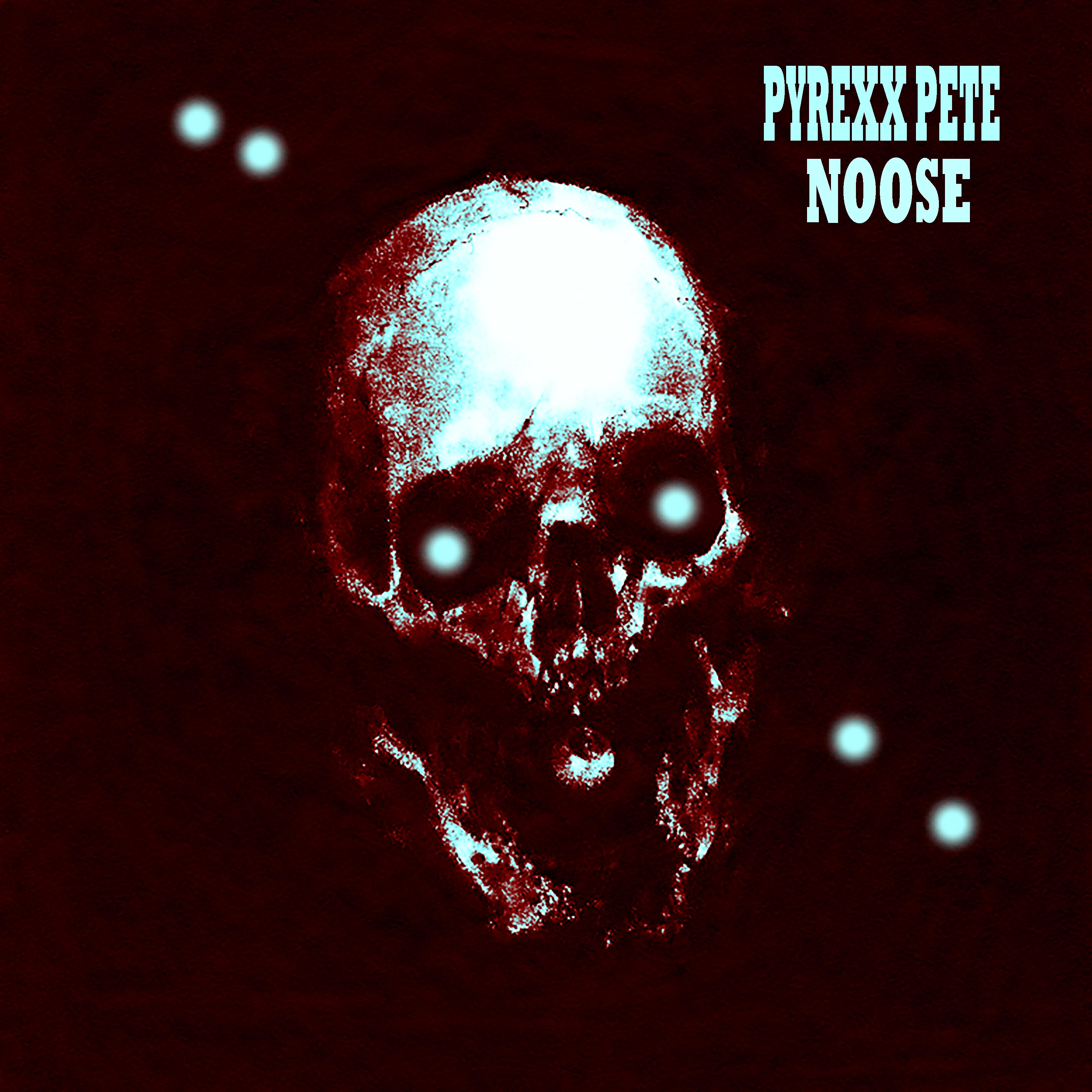 Релиз Noose