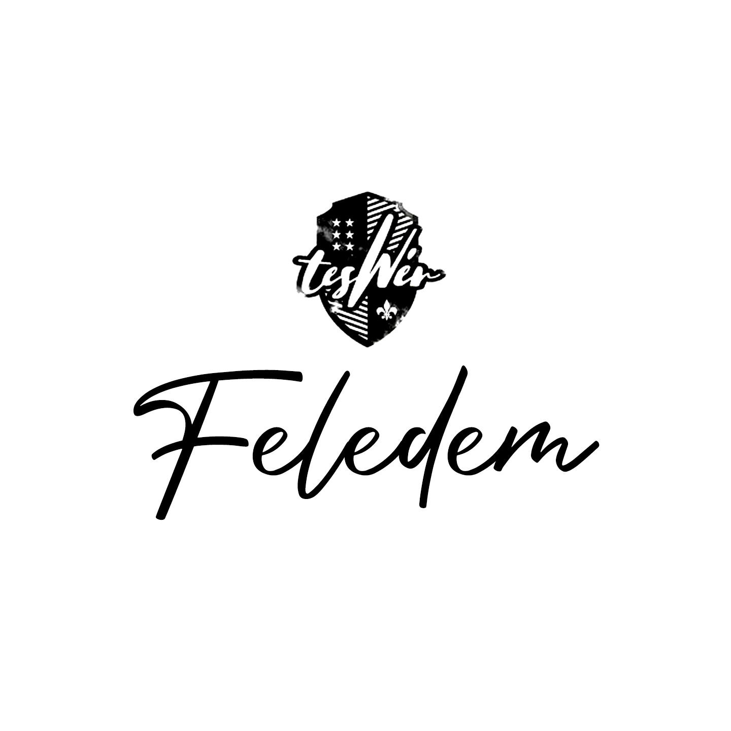 Релиз Feledem