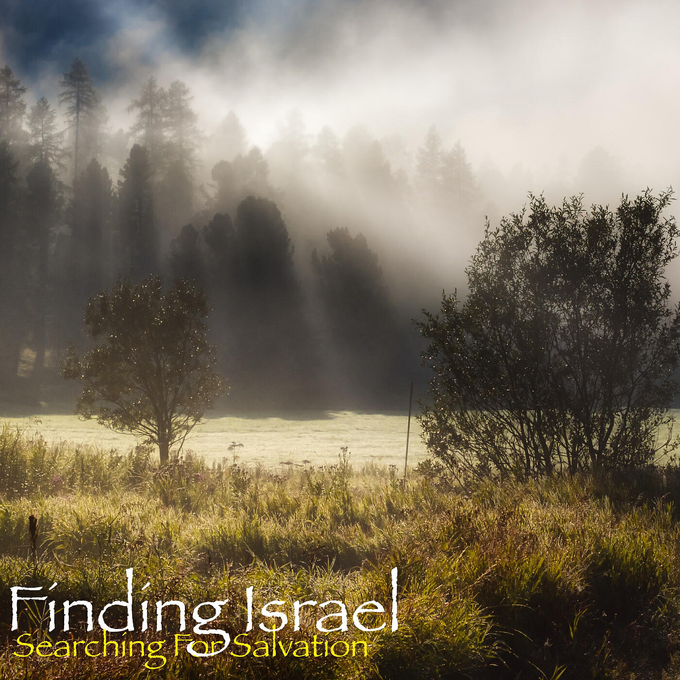 Релиз Searching for Salvation