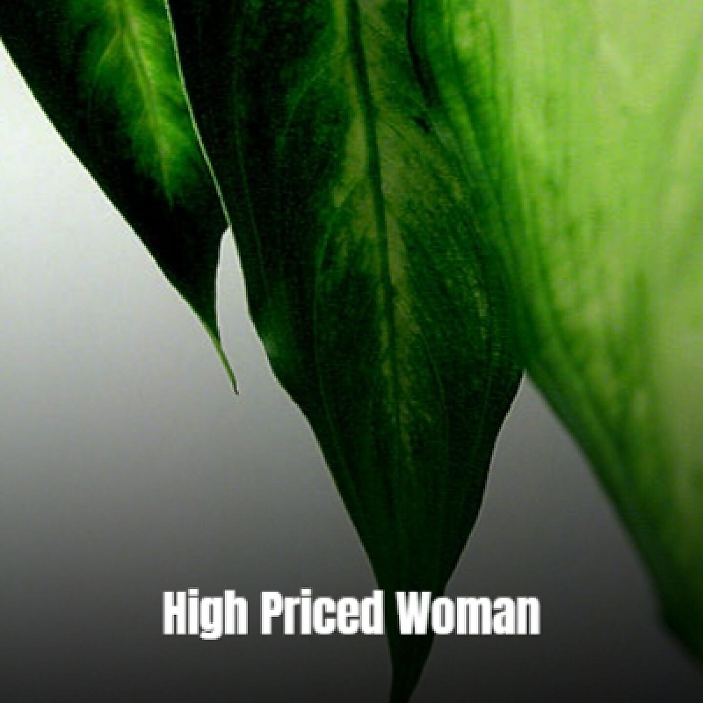 Постер альбома High Priced Woman