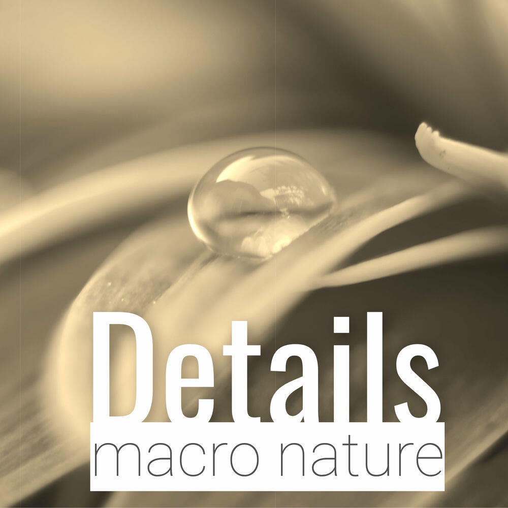 Релиз Details: Macro Nature