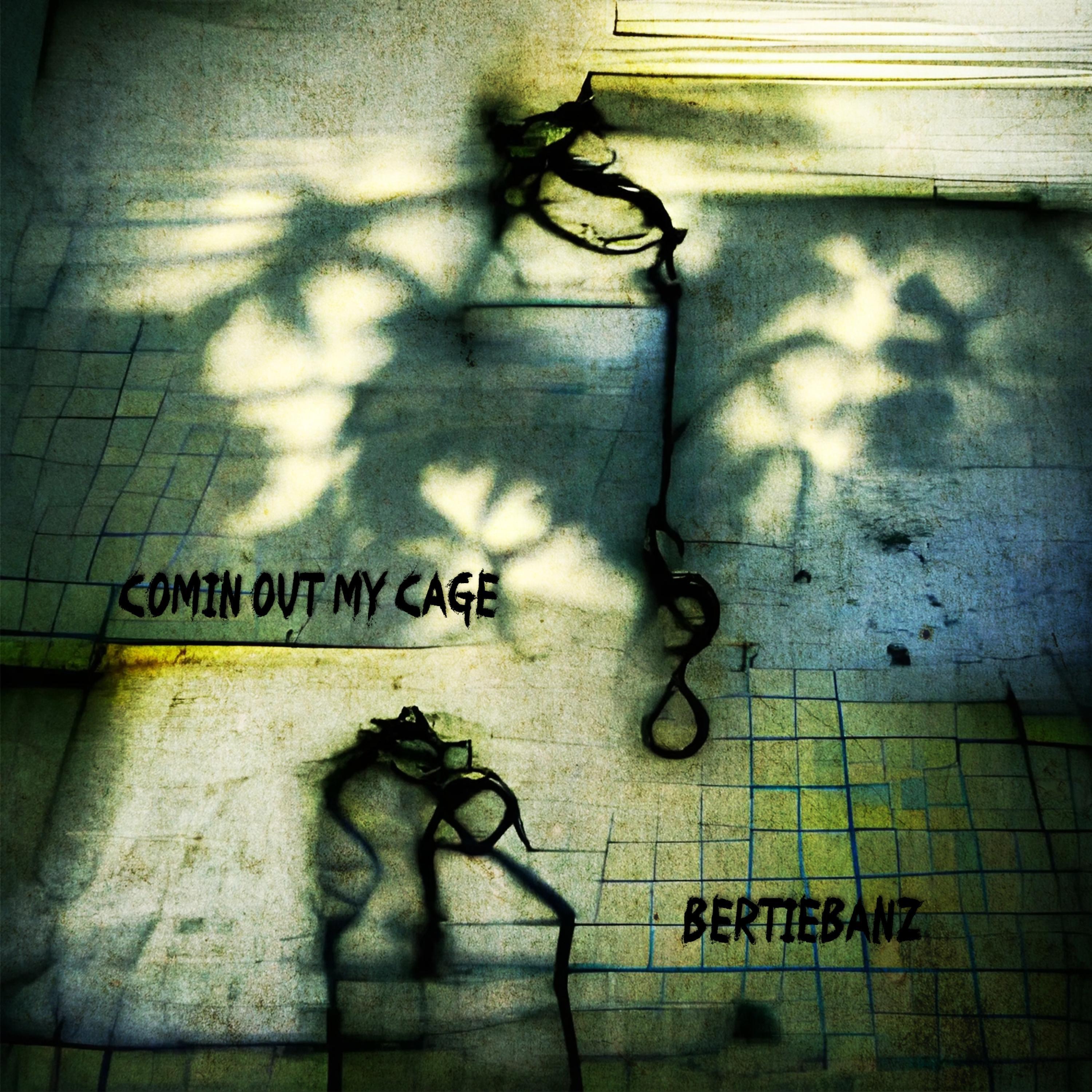 Релиз Comin Out My Cage