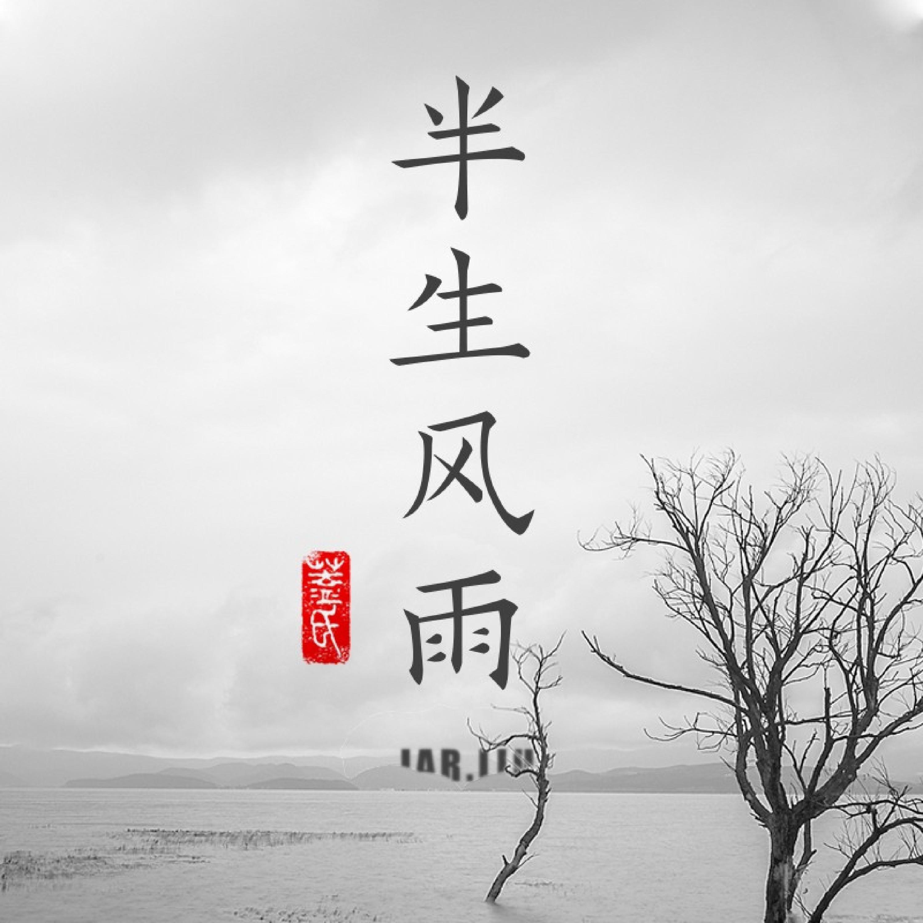 Релиз 半生风雨