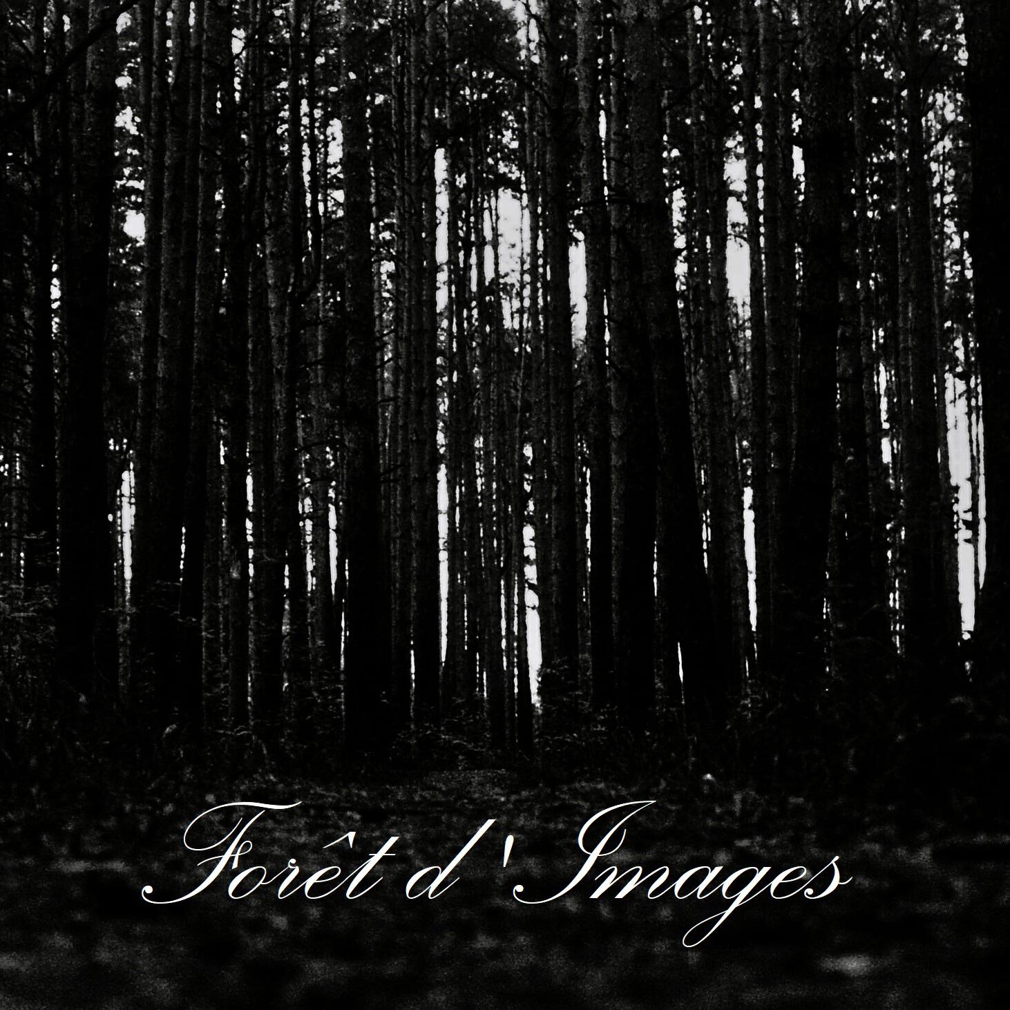 Forêt d'Images