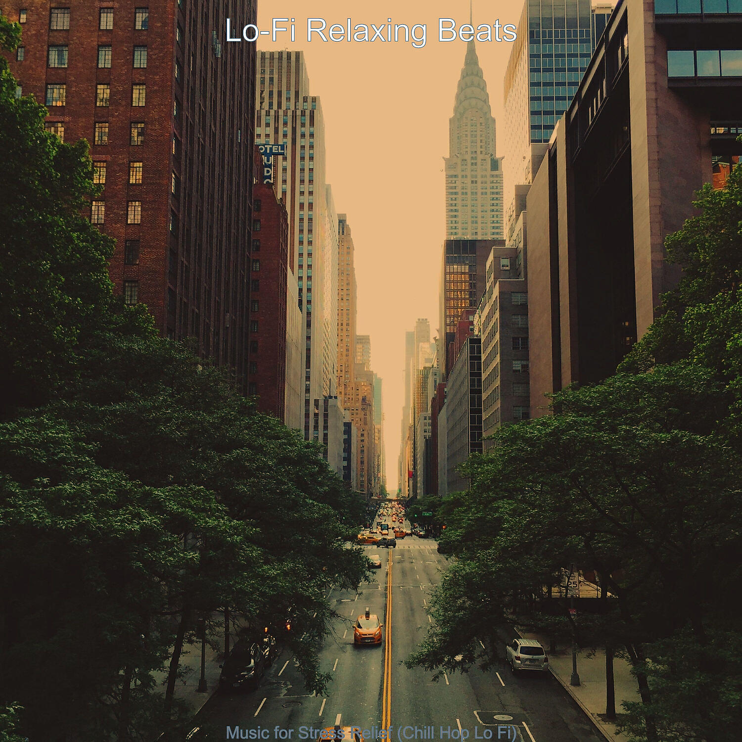 Релиз Music for Stress Relief (Chill Hop Lo Fi)