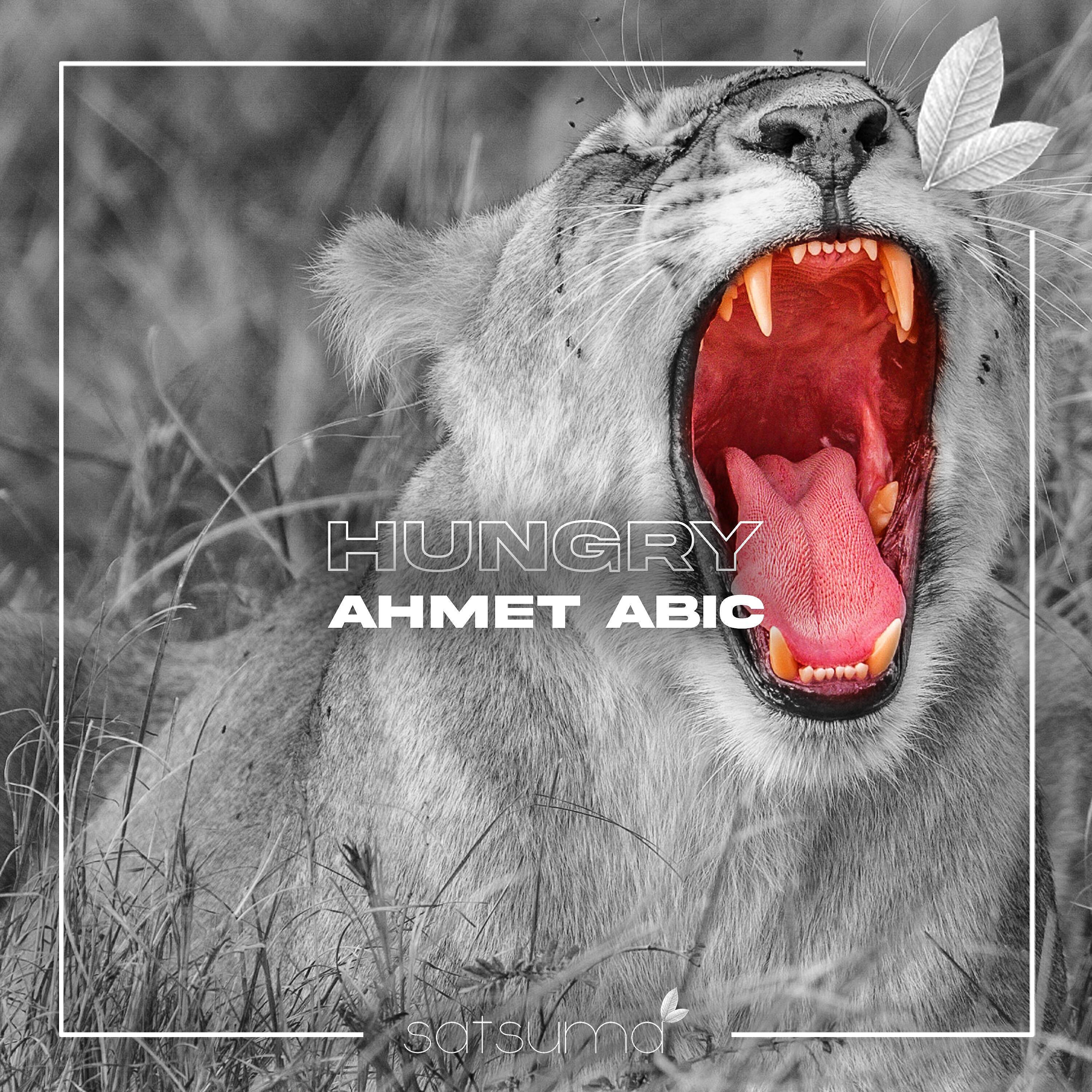Ahmet Abic