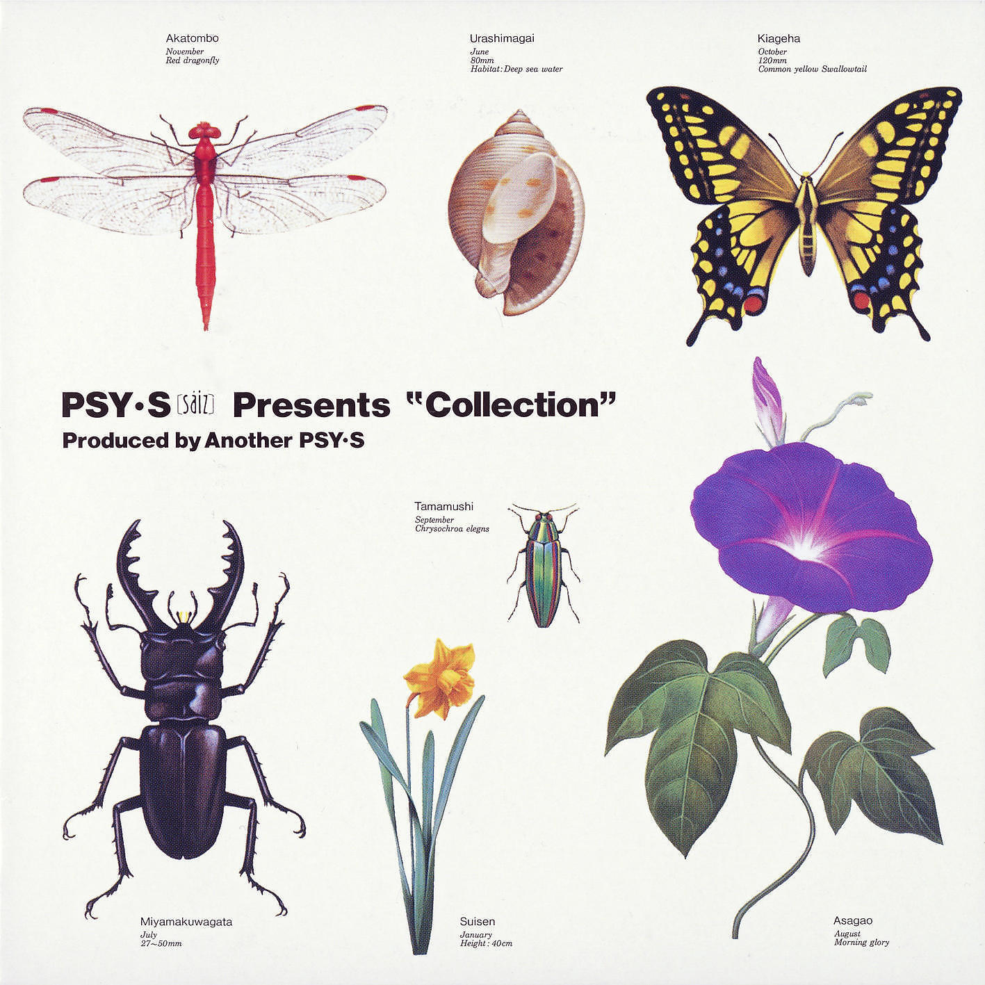 Релиз Collection
