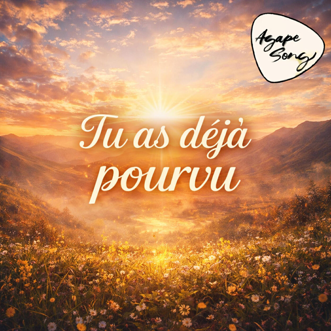 Релиз Tu as déja pourvu