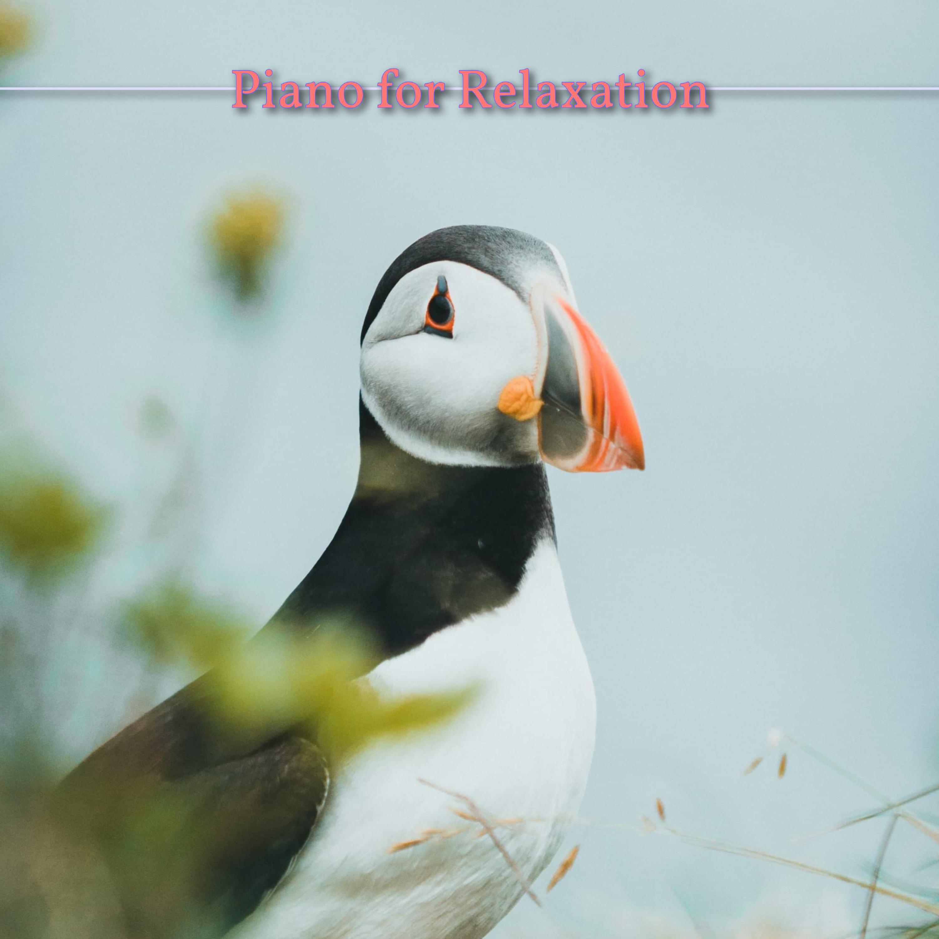 Релиз Piano for Relaxation