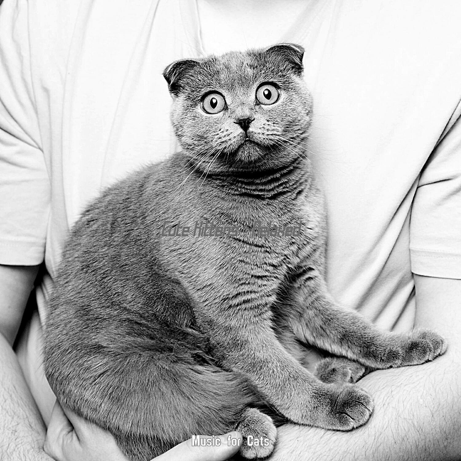 Релиз Cute Kittens - Relaxed