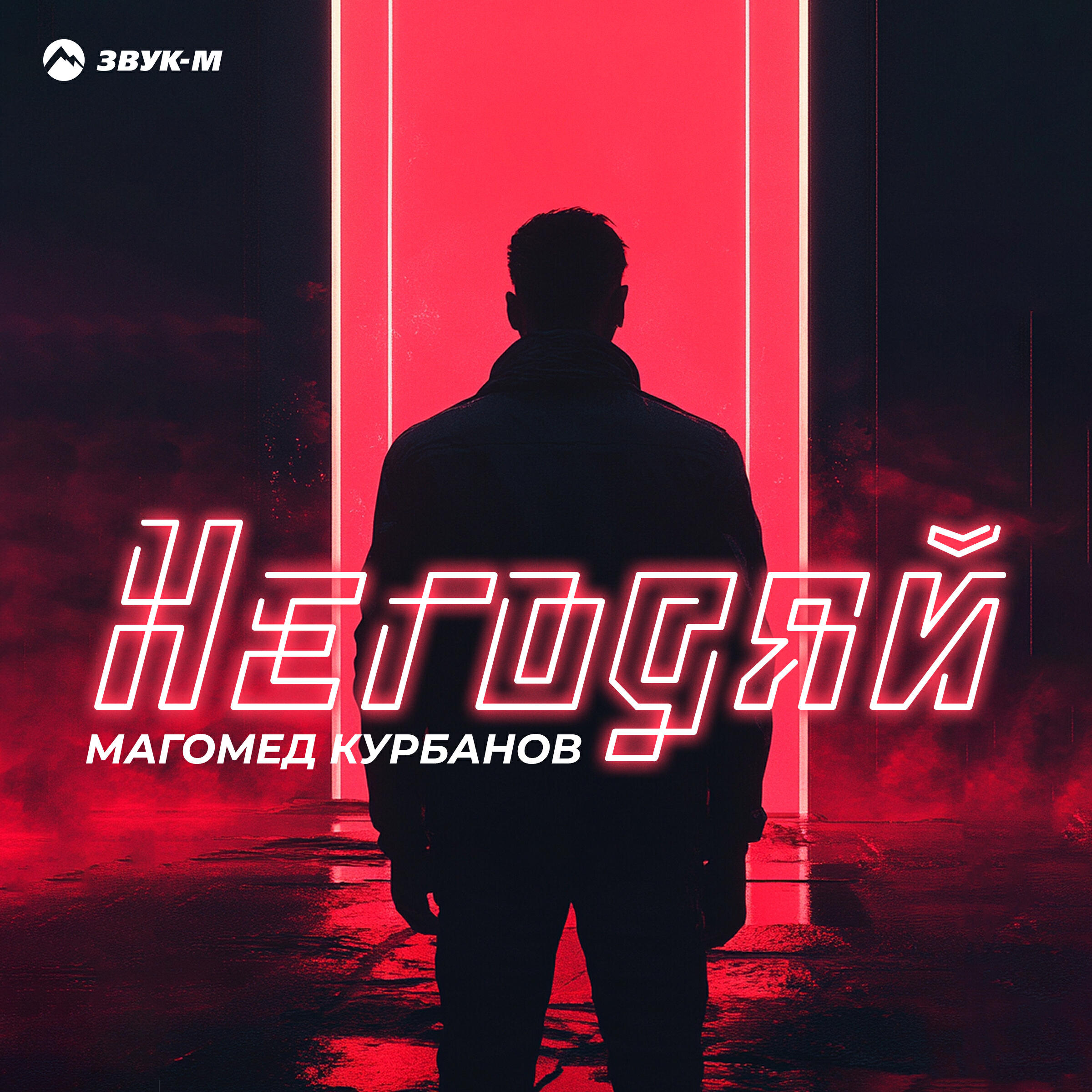 Постер альбома Негодяй